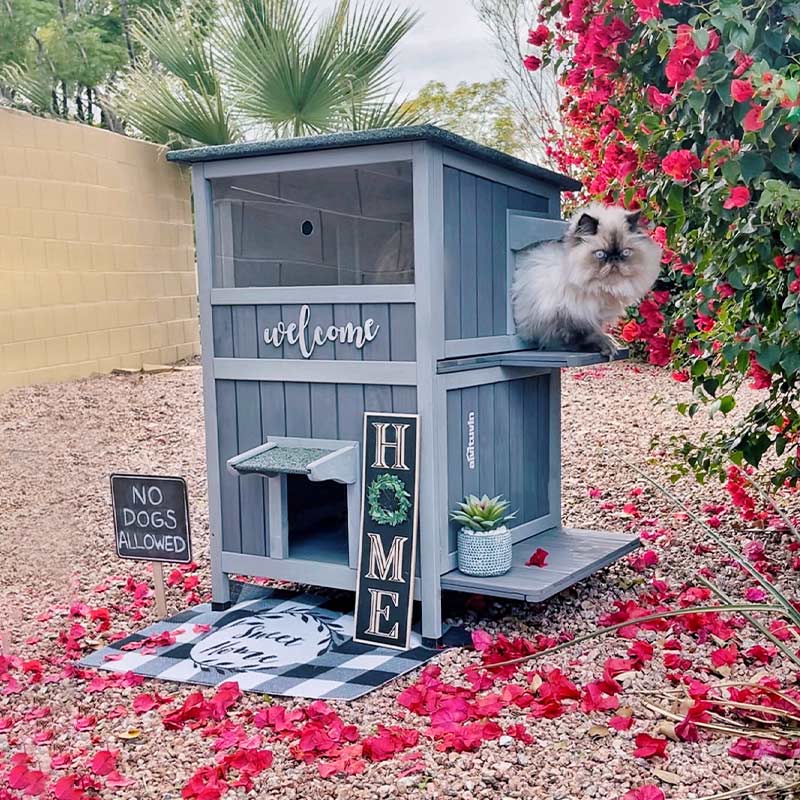 Animal Shelter Small Outdoor Cat House Aivituvin 2-Tier Wooden Cat House AIR14, Outdoor Cat Shelter