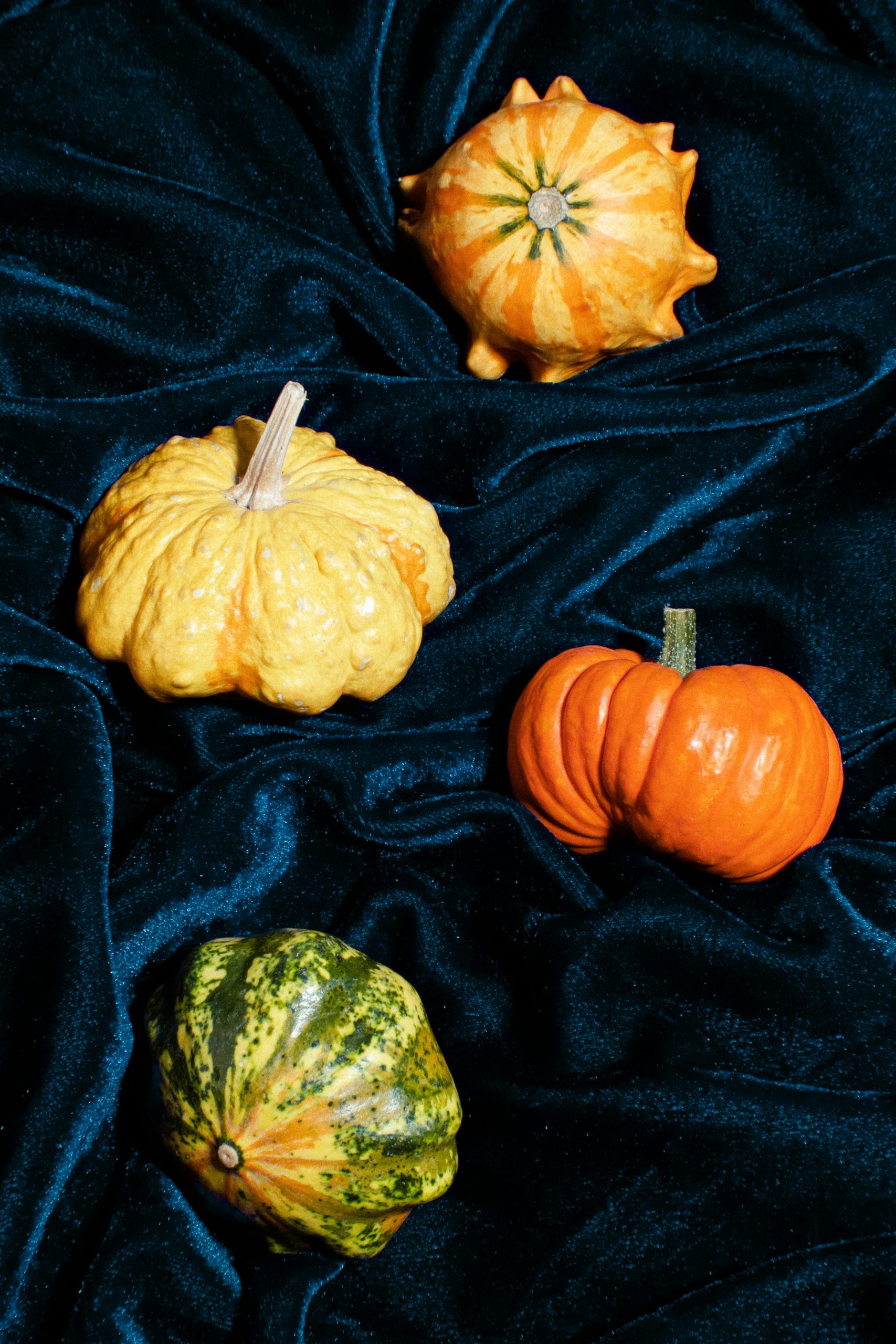 Array of pumpkins on blue velvet