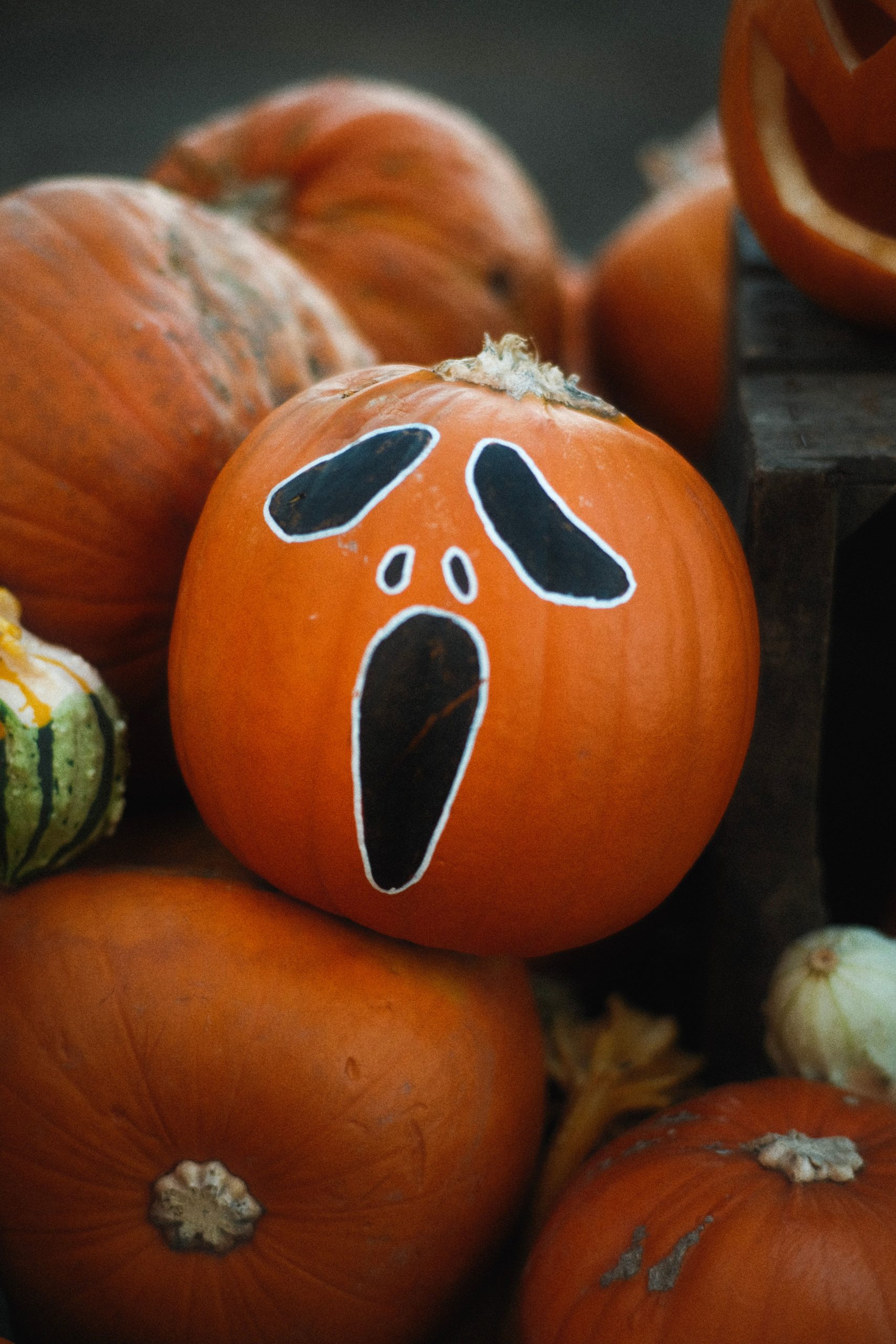 Artistic arrangement of painted pumpkins perfect for Halloween and fall decoration.