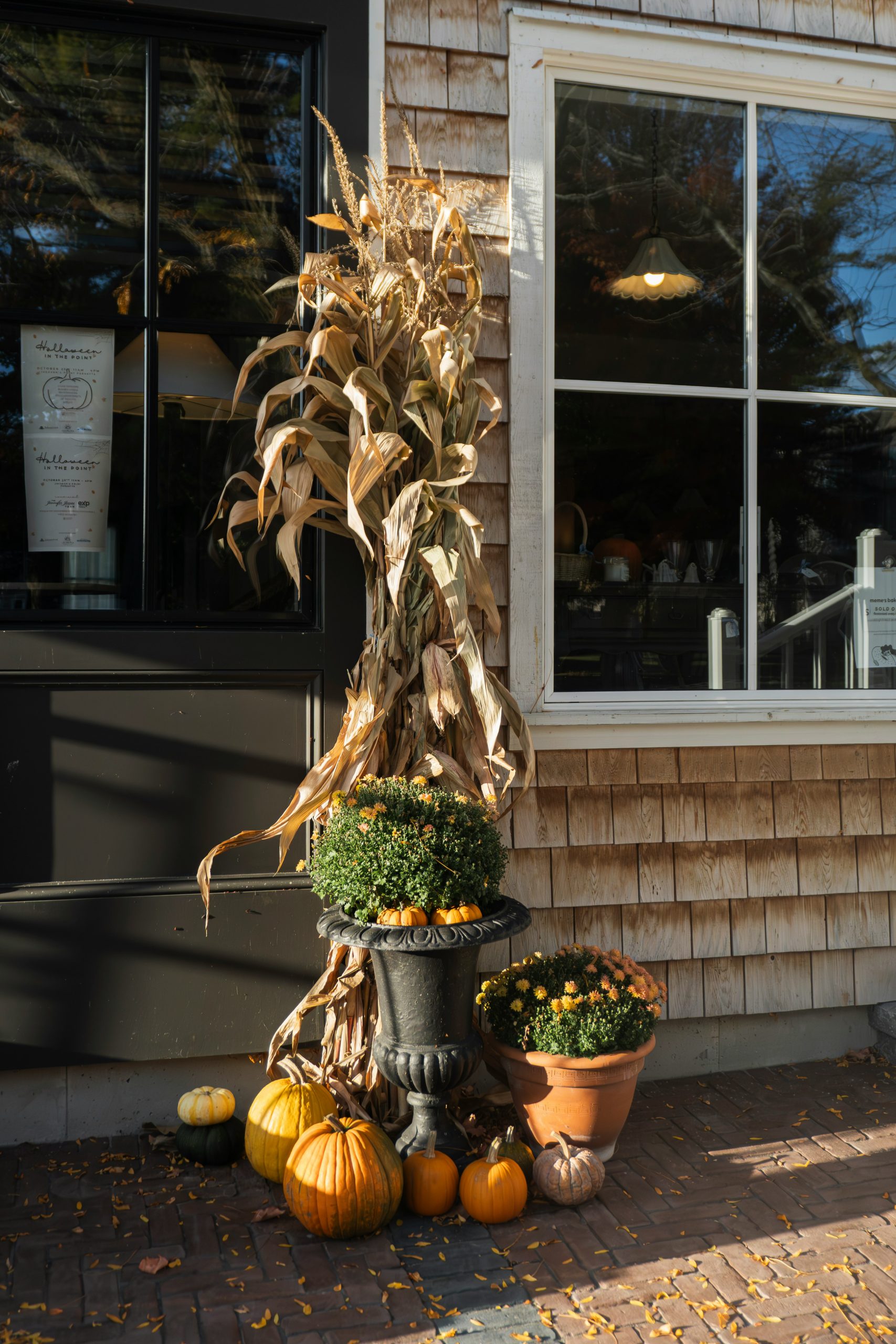 Autumn harvest decorations with pumpkins and mums outside plants