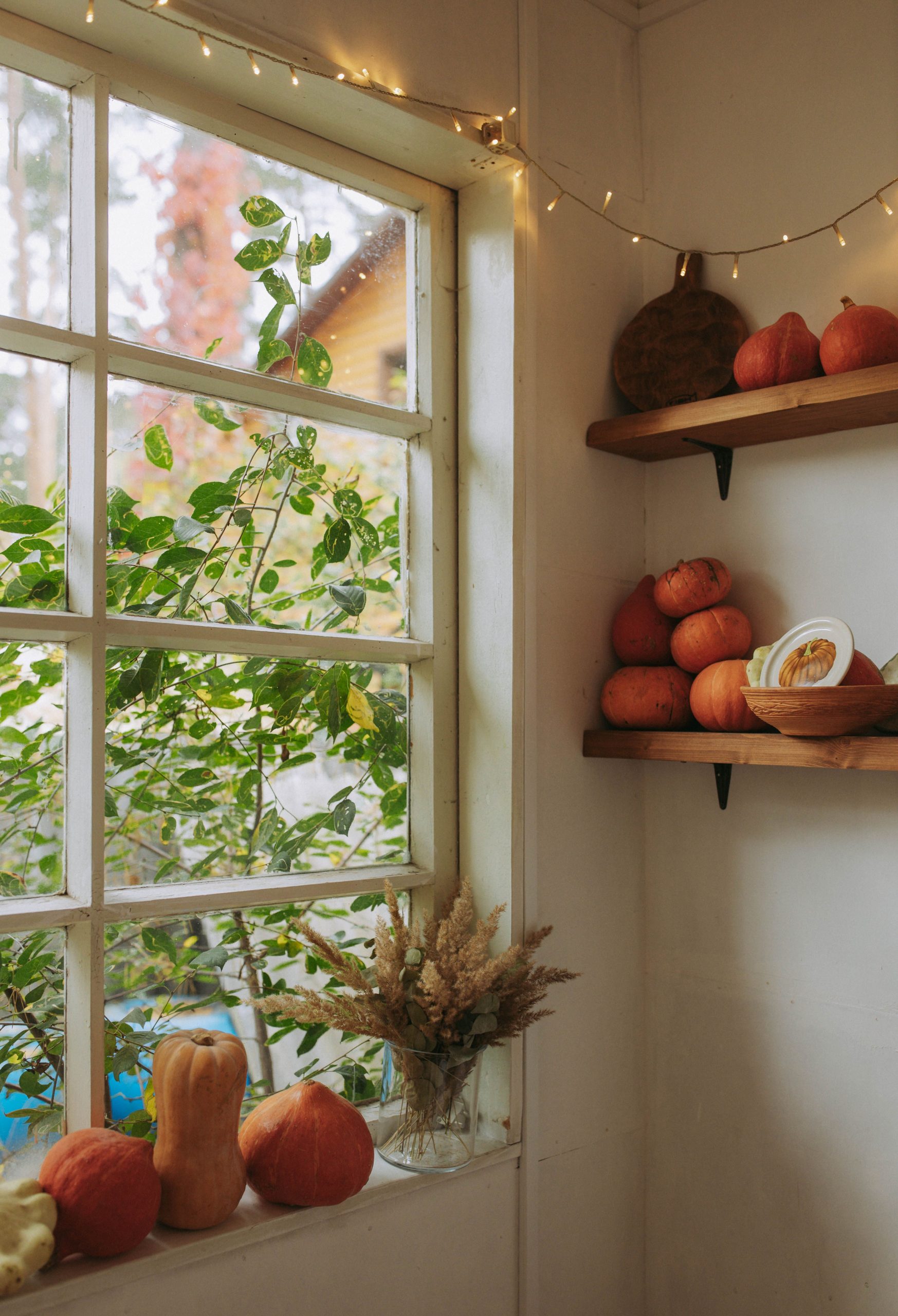 Autumn scene with pumpkins on shelves, window view with foliage. Warm and cozy indoor setting.