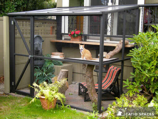 Catio Outside Cat House Diy That Attaches To PETSCOSSET Cat Catio Outdoor Enclosure Outside