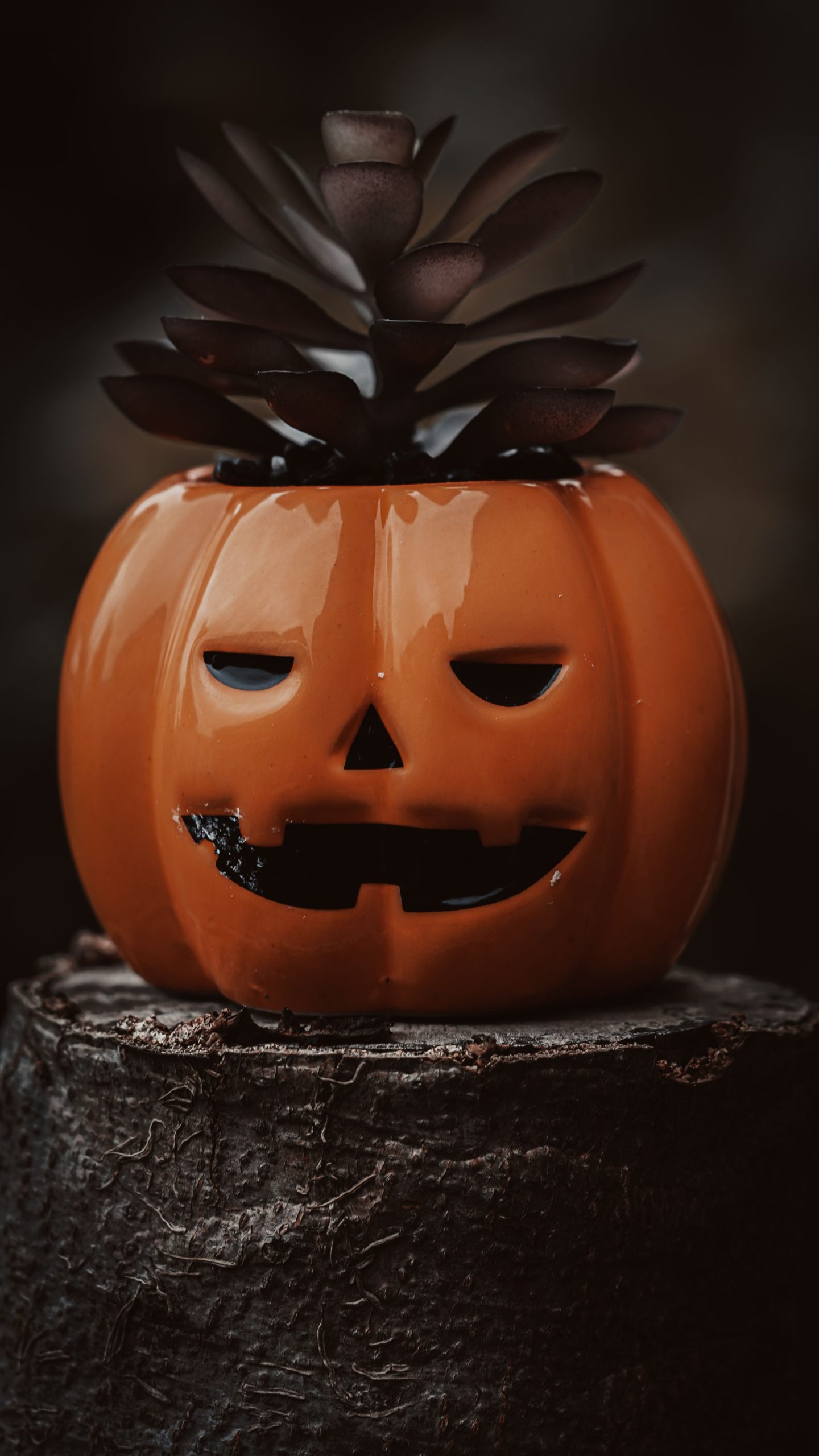 Ceramic jack-o'-lantern with succulent plant, perfect for fall decor.