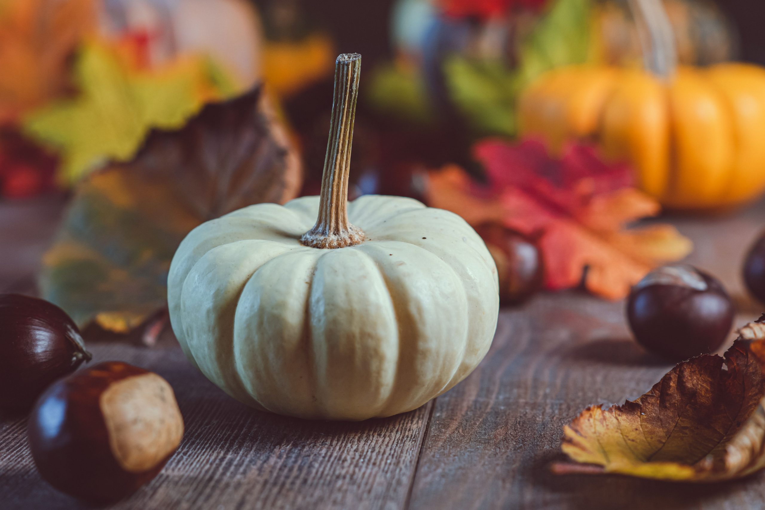 Charming autumn composition featuring a white pumpkin with colorful leaves and chestnuts.