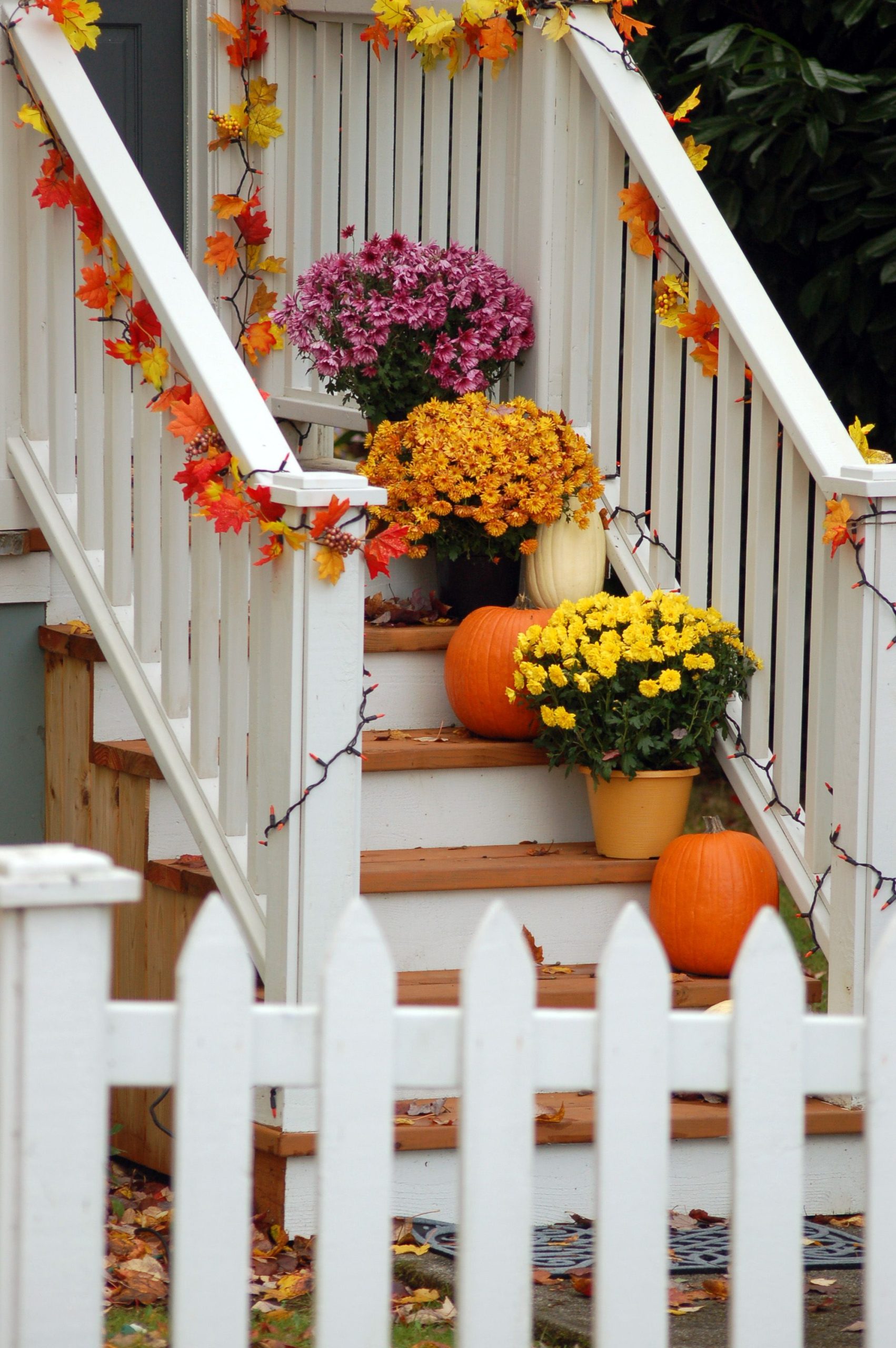Charming autumn staircase with colorful mums and pumpkins adorning the steps, perfect fall ambiance.