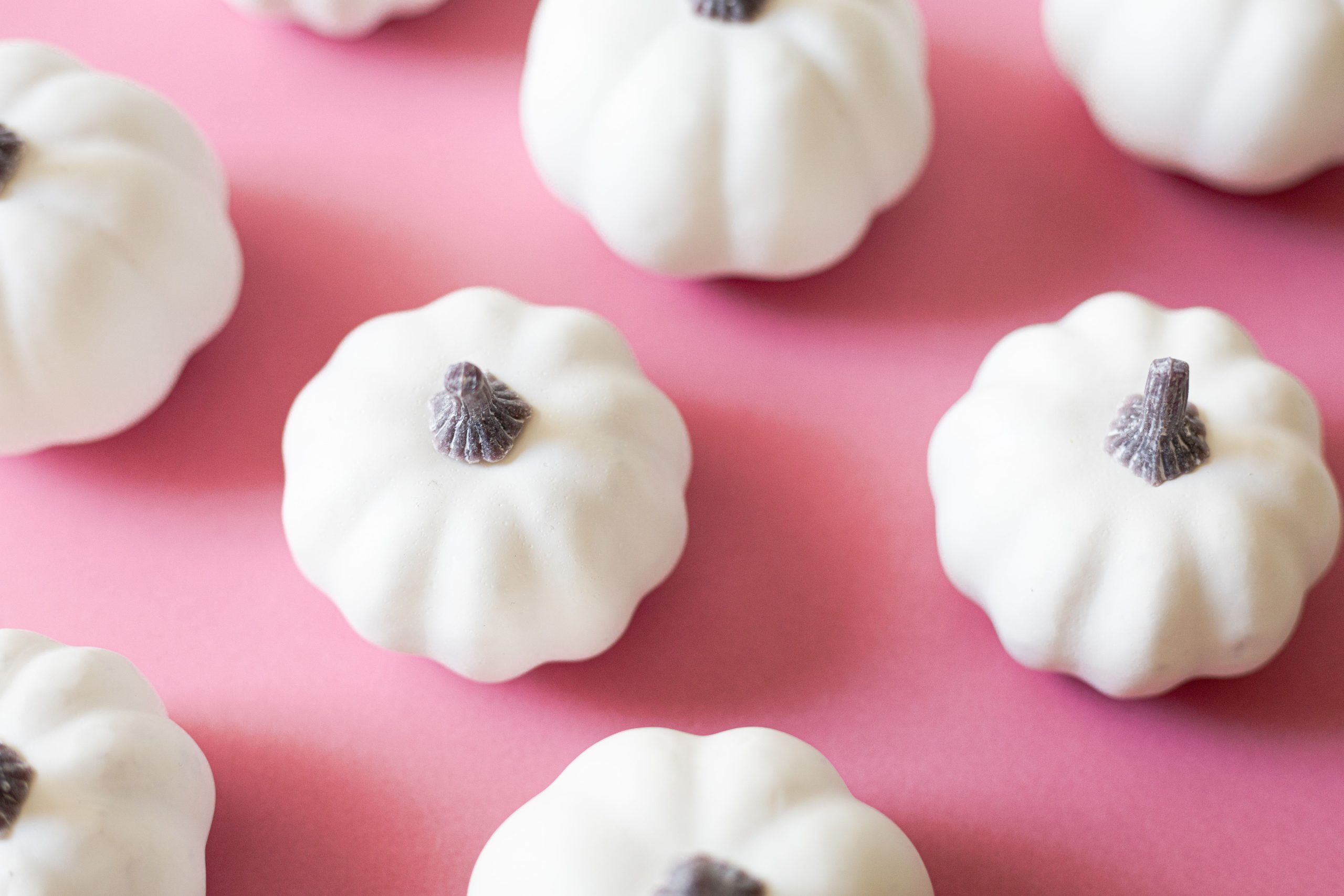 Close-up of white mini pumpkins arranged on a pink background, creating a soft autumnal vibe.