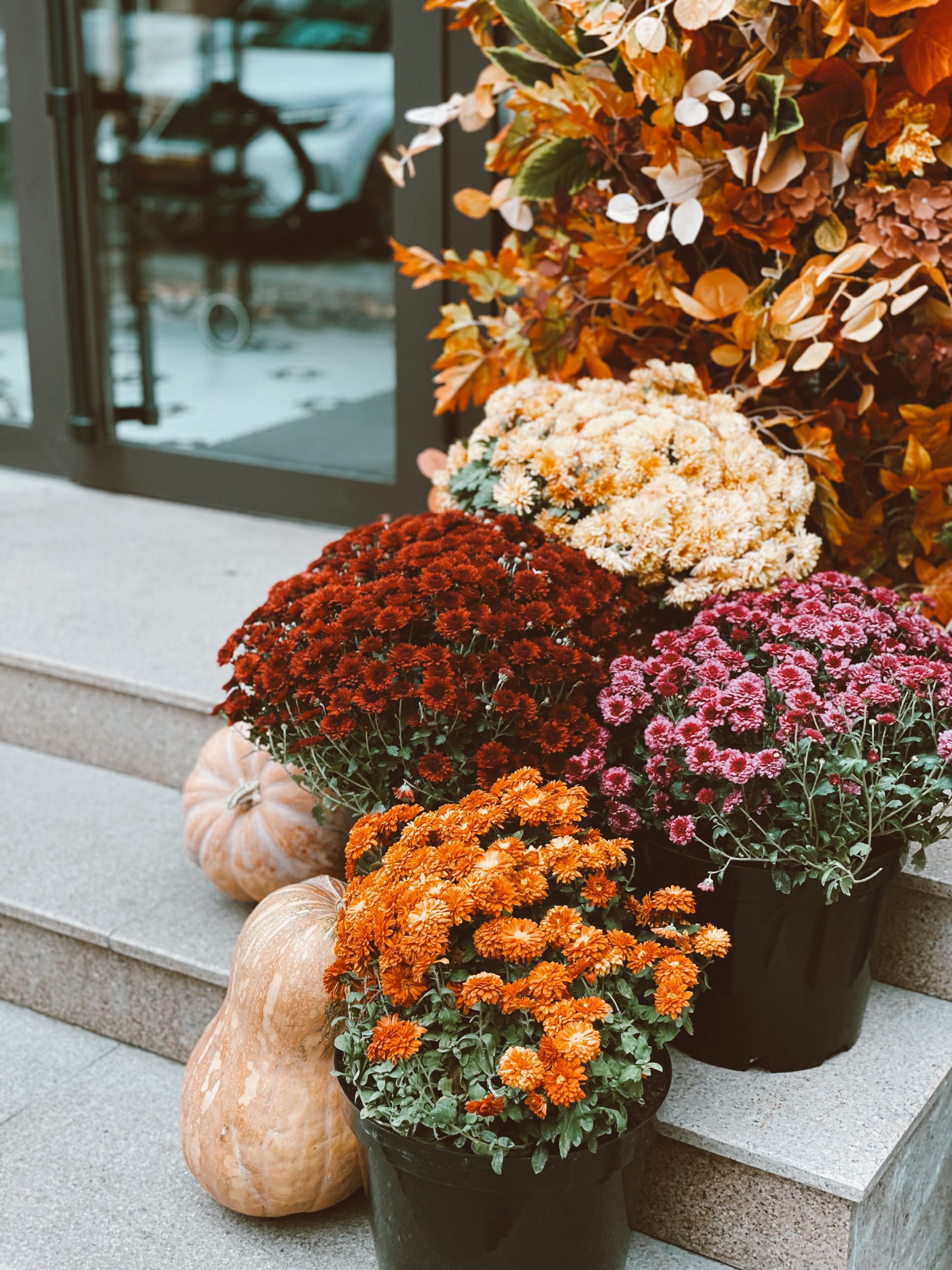 Colorful mums and pumpkins stacked on stone steps for a festive fall display.