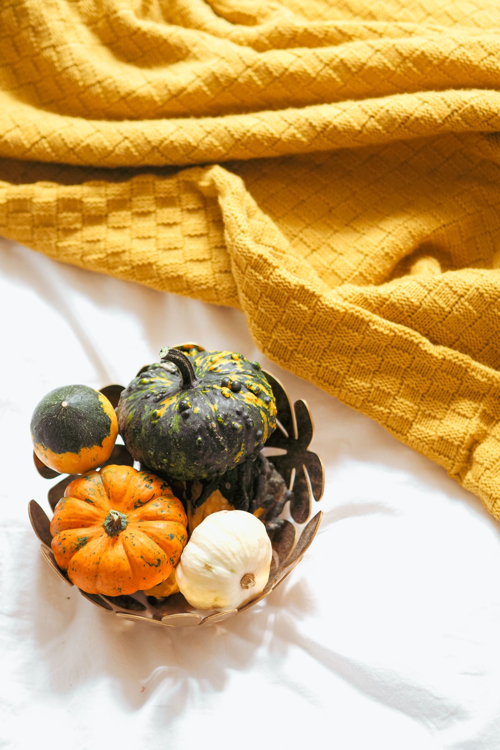 Colorful pumpkins in a decorative bowl with a cozy yellow blanket, perfect for fall vibes.