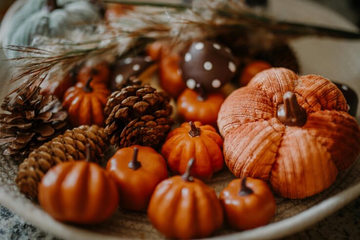 Creating Seasonal Moments: How to Style Your Home for Fall and Christmas – Nicole Paquette Design