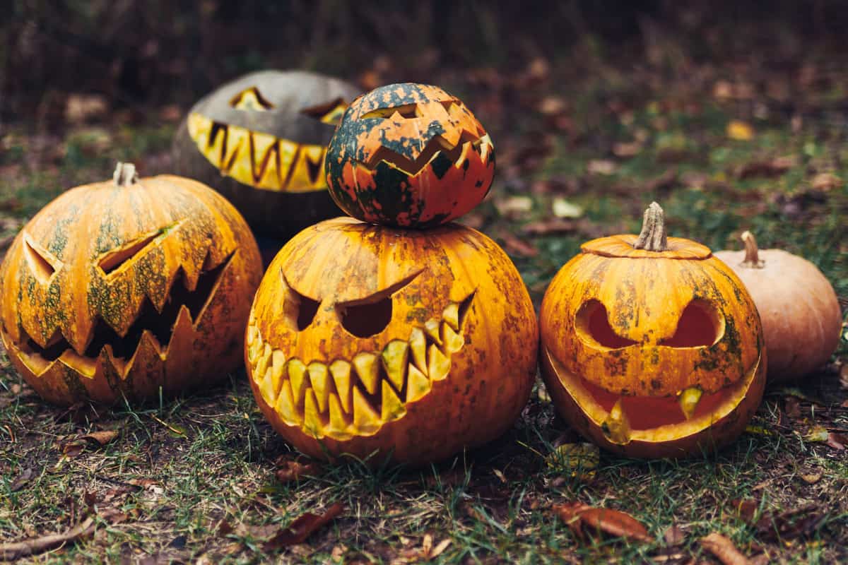 Creepy, Crazy, And Creative Pumpkin Carving Ideas • FamilyApp