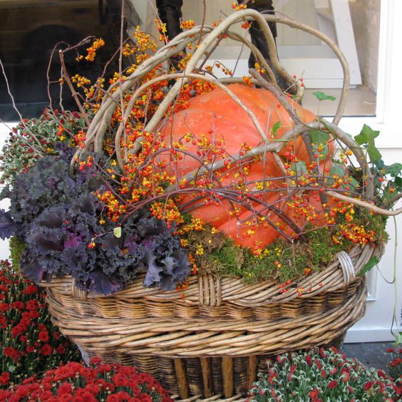 Decorative Flower Pumpkins Dried Flower Pumpkin Arrangment Crazy Daisies