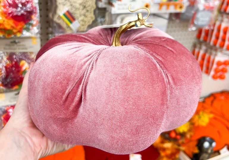 Dollar Tree Halloween Decor | NEW Trendy Fall Items Out!