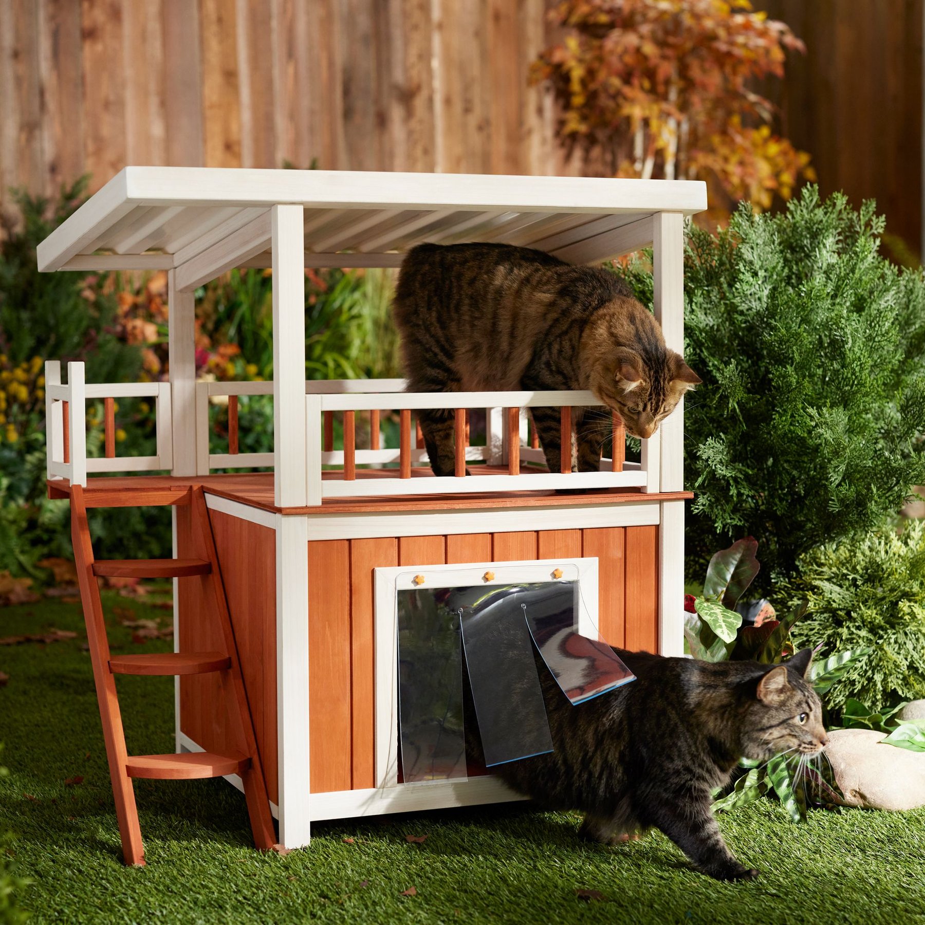 Elevated Outdoor Cat House Elevated Outdoor Cedar Cat Or Dog Feeding Station