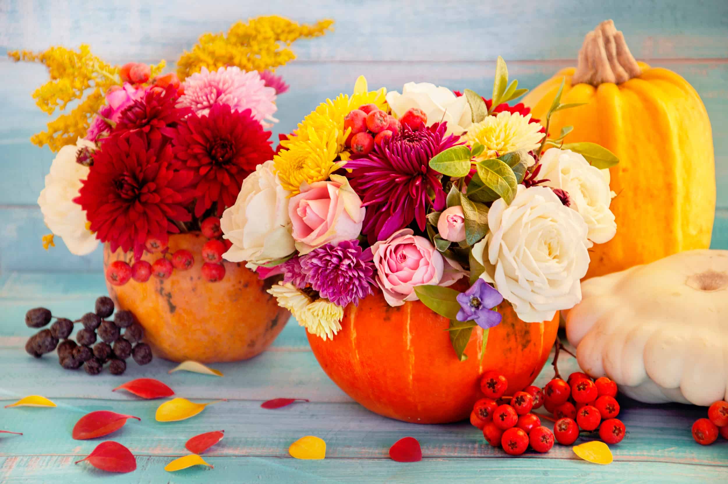 Fall Flowers - Wholesale Bulk Flowers