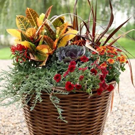 Fall Planter Ideas Fall Planter Ideas Wow 'Em In Easy Steps • The Garden Glove