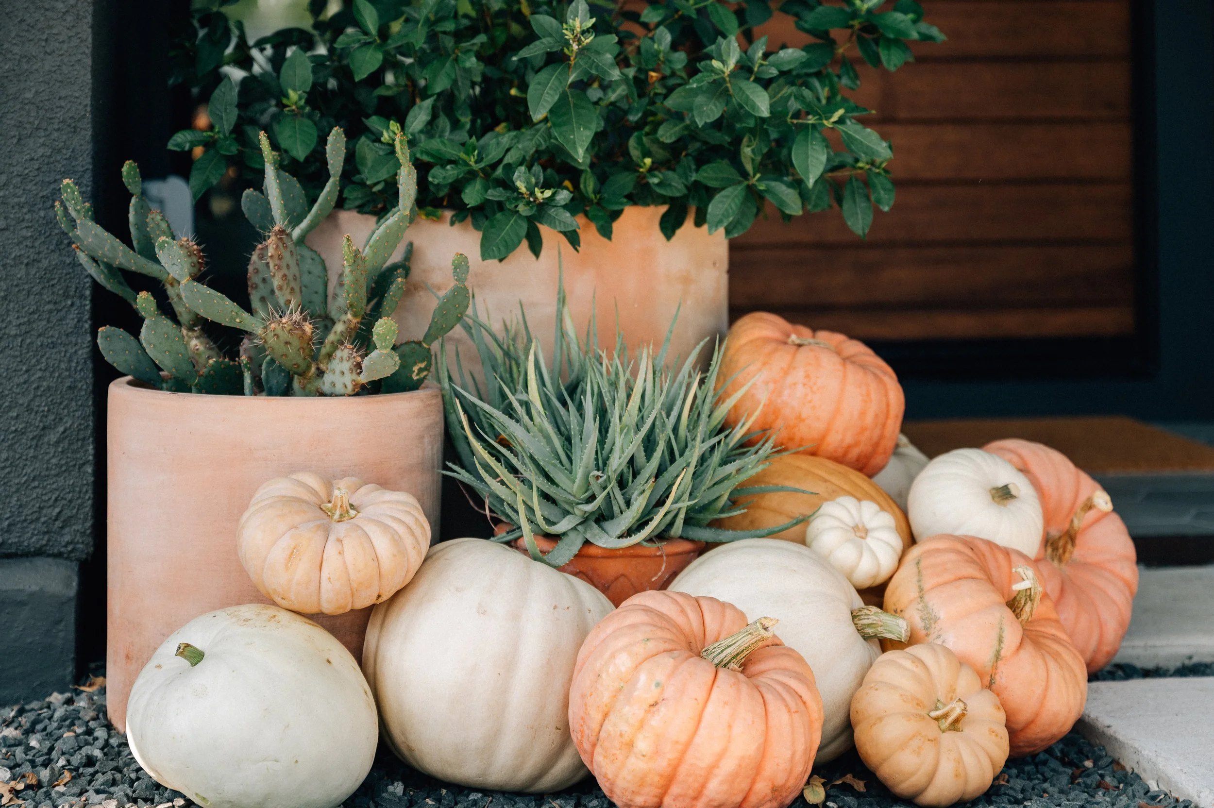 fall y'all