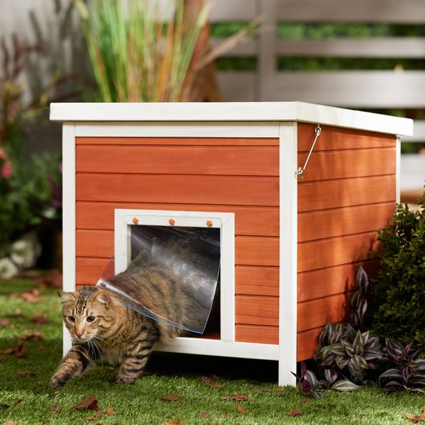 Feral Cats Cat House Cat House Outdoor Cat House Pinewood Weatherproof Wooden Shelter For Feral