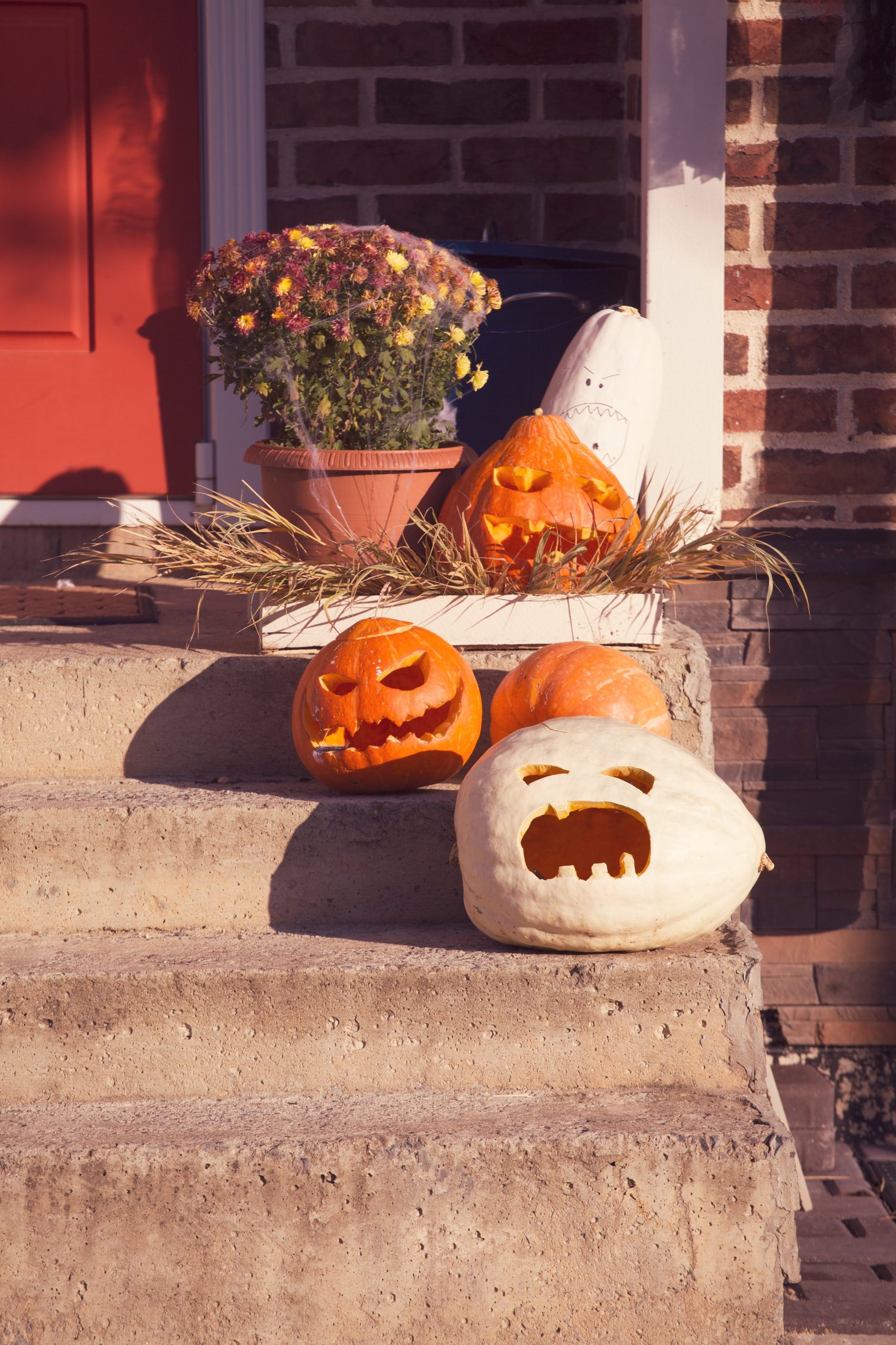 Festive carved pumpkins on concrete stairs for Halloween decoration outdoors.