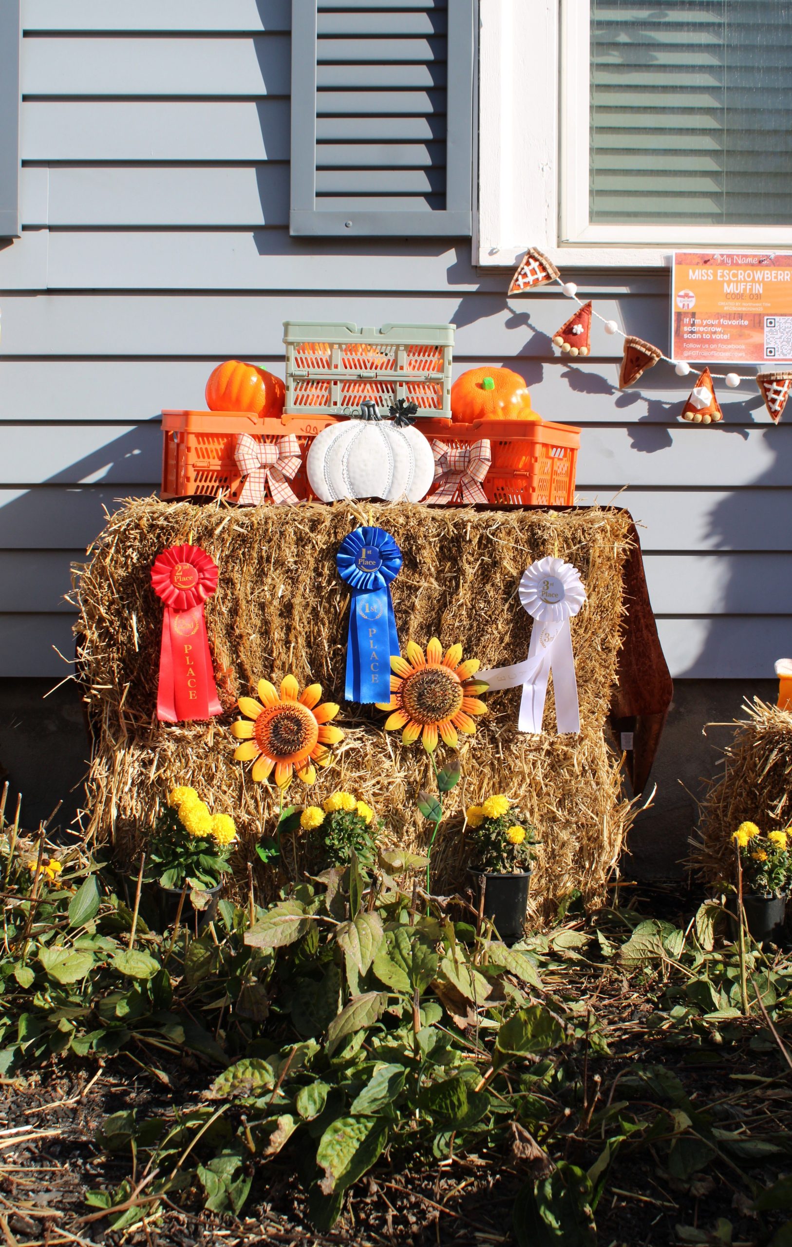 Festive fall display featuring pumpkins, hay bales, award ribbons, and sunflowers outdoors.