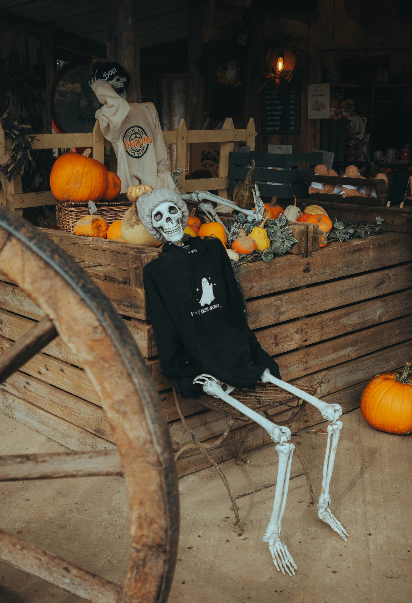 Funny Halloween decorations featuring skeletons, pumpkins, and gourds, creating a festive autumn scene with a rustic wooden backdrop.