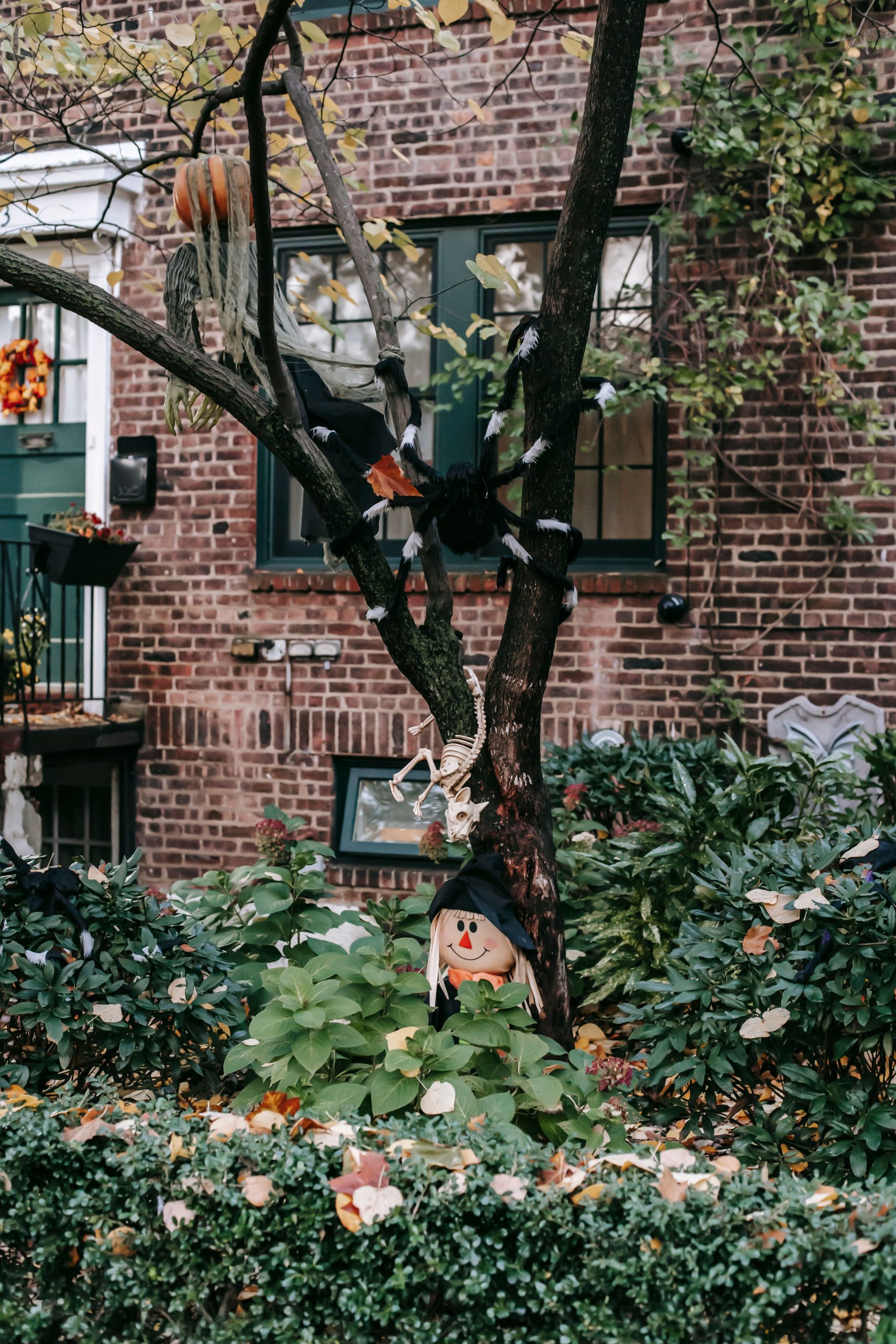 Garden with flowers and bushes near brick house decorated with spider hanging on tree and scarecrow for Halloween celebration in daytime