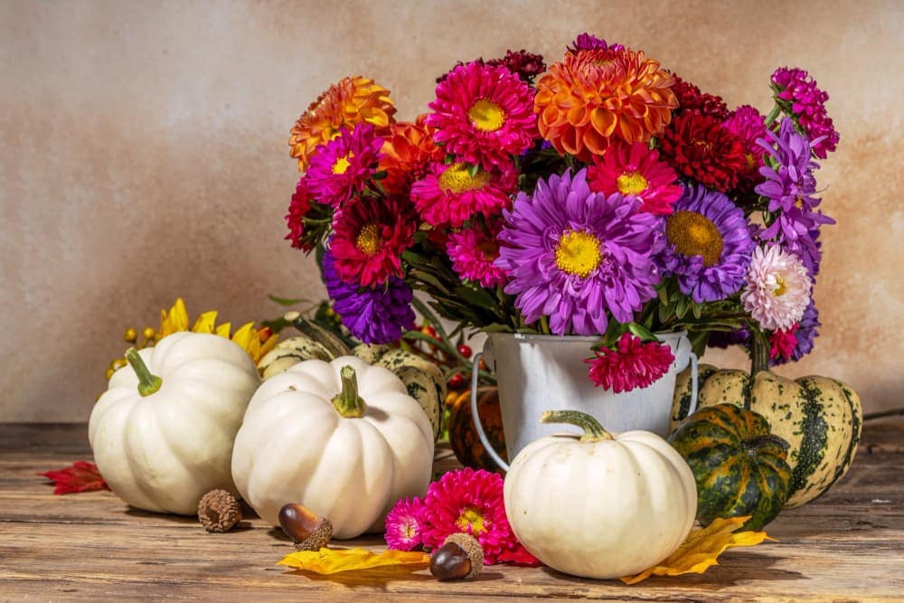 Halloween Flower Ideas: Spooky Arrangements & Pumpkin Vases