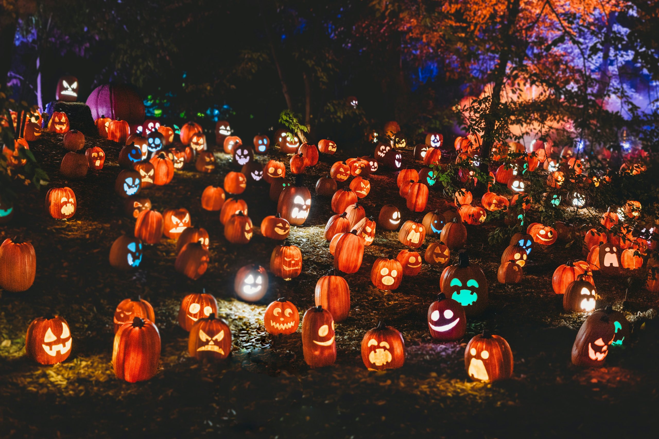 Haunted Pumpkin Patch Lit Up At Night