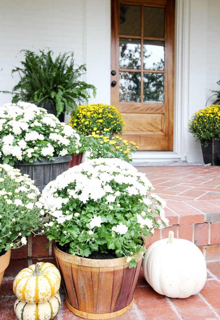 How to Decorate Your Porch for Fall - Plank and Pillow