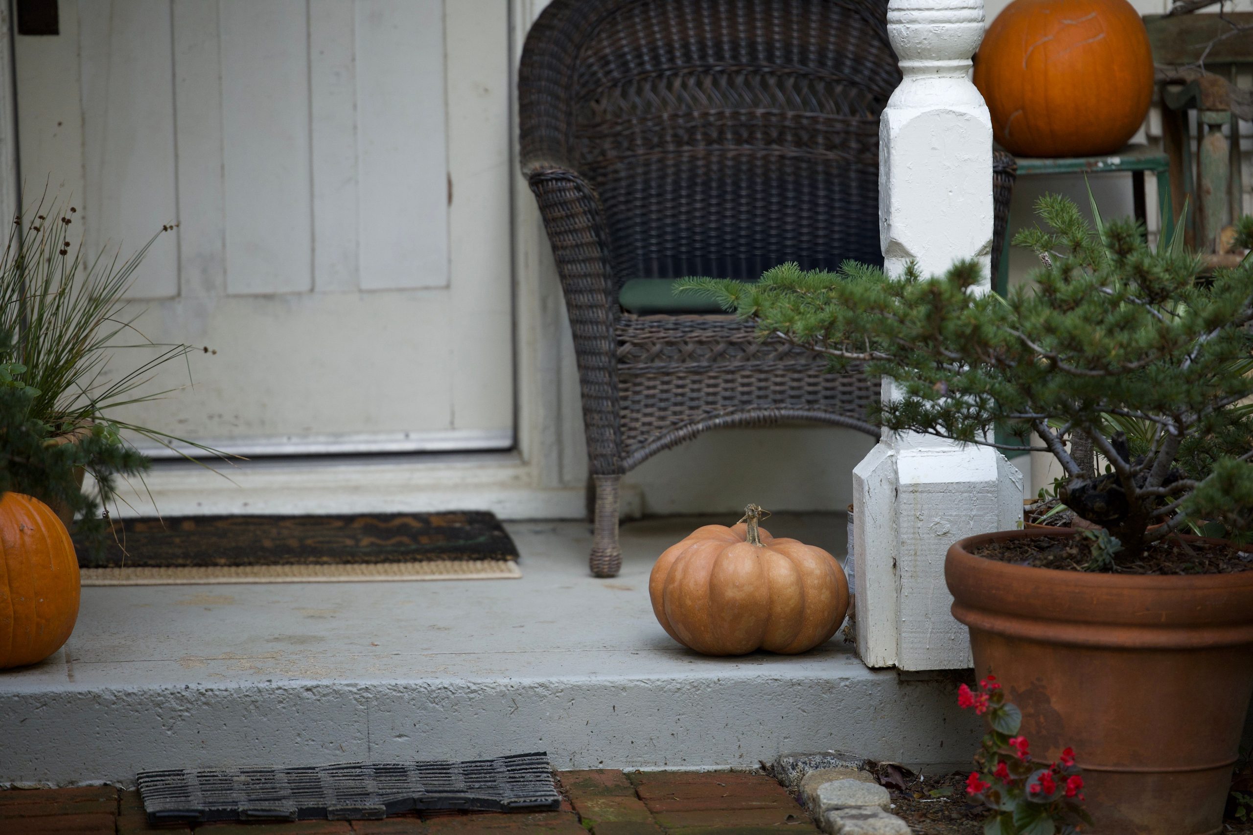 Inviting autumn porch featuring pumpkins and a wicker chair, perfect for seasonal decor inspiration.