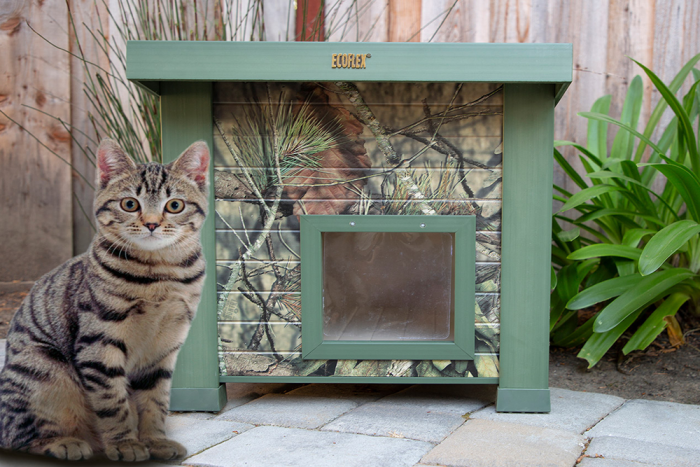 Mossy Oak Feral Cat House