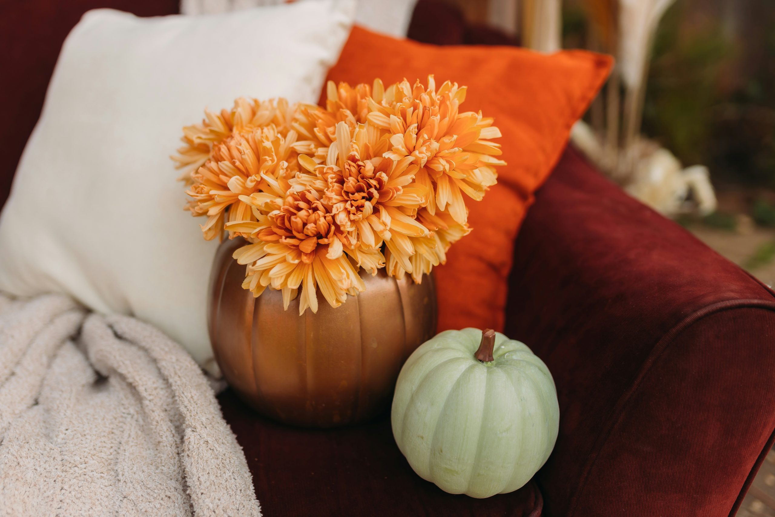 My 2022 Fall Mini Setup. instagram.com/hannahgoldenphotography.