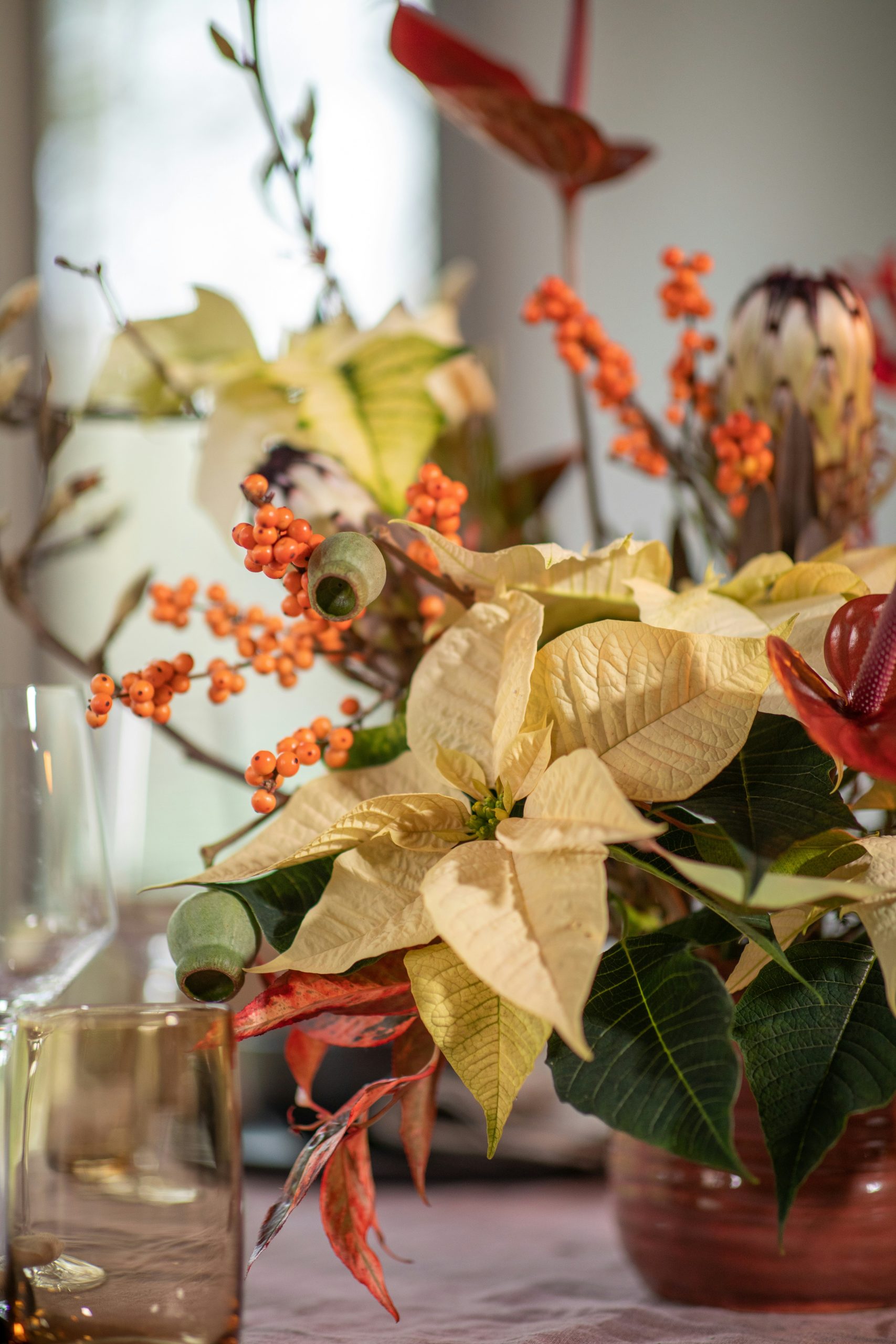Poinsettias are not just a beautiful indoor displays at Christmastime. In warm shades such as salmon, cinnamon or apricot, they also make fabulous autumn centrepieces. Unusual shades and growth habits