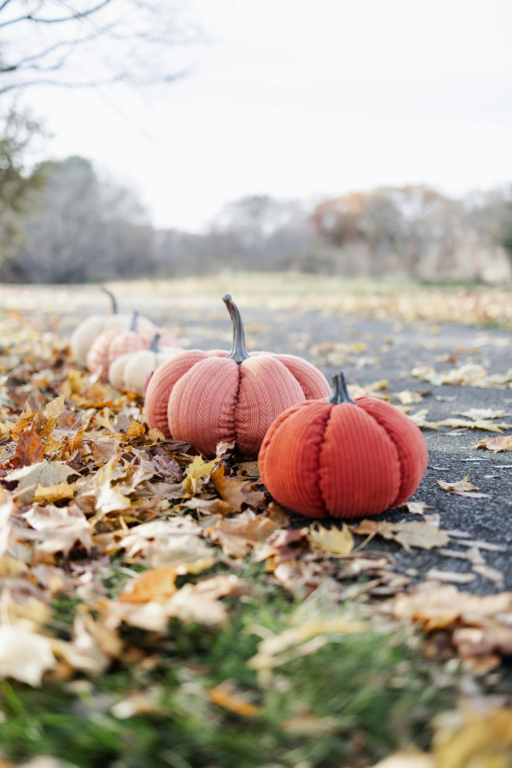 pumpkins