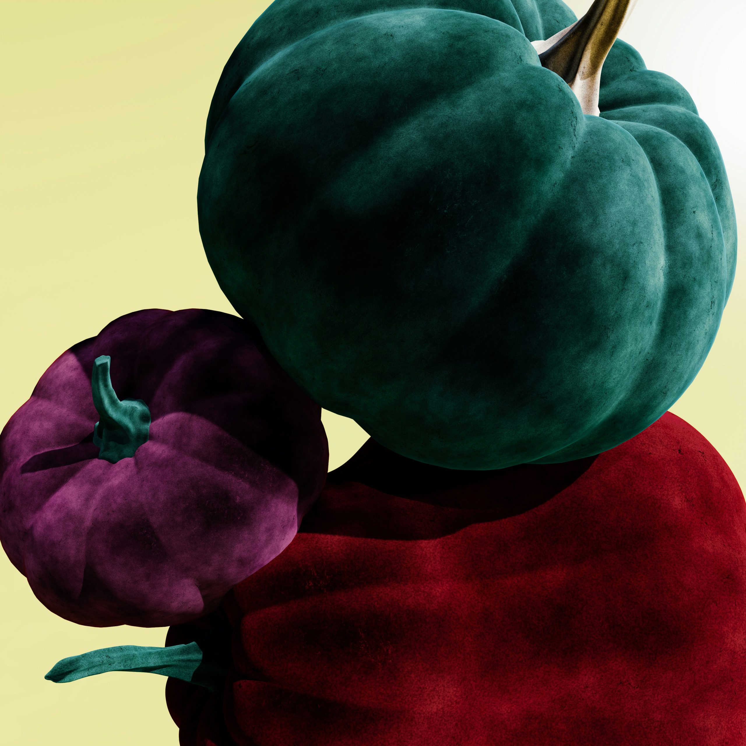pumpkins / colors / textures