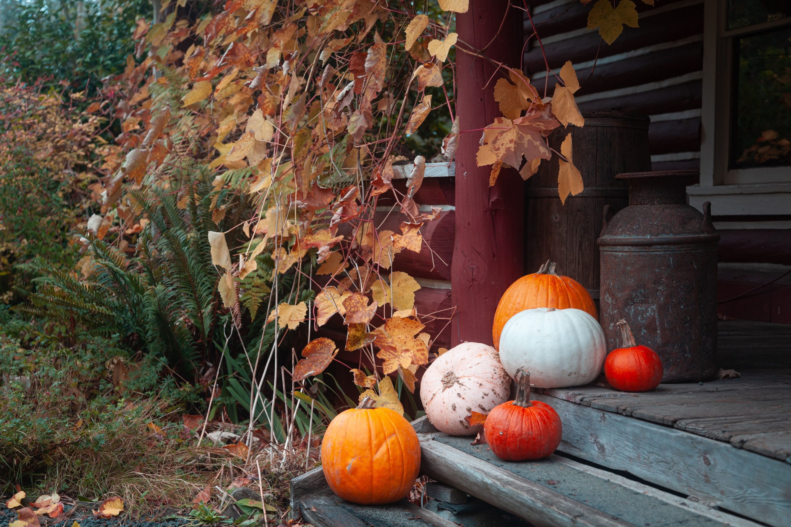 Rustic farmhouse porch with pumpkins and autumn leaves creating a cozy fall scene.