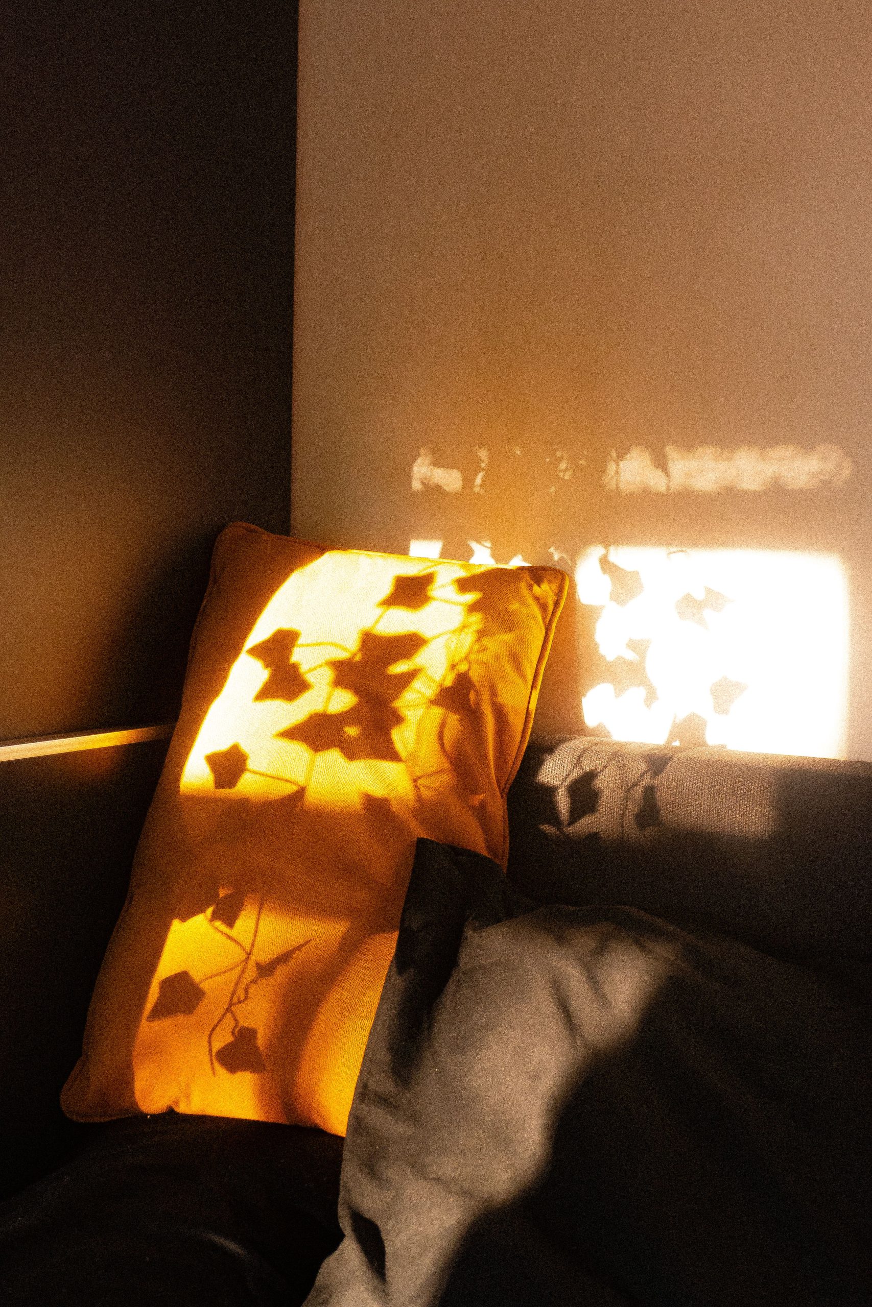 Serene bedroom scene with sunlight casting leaf shadows on vibrant pillow. Perfect relaxation ambiance.