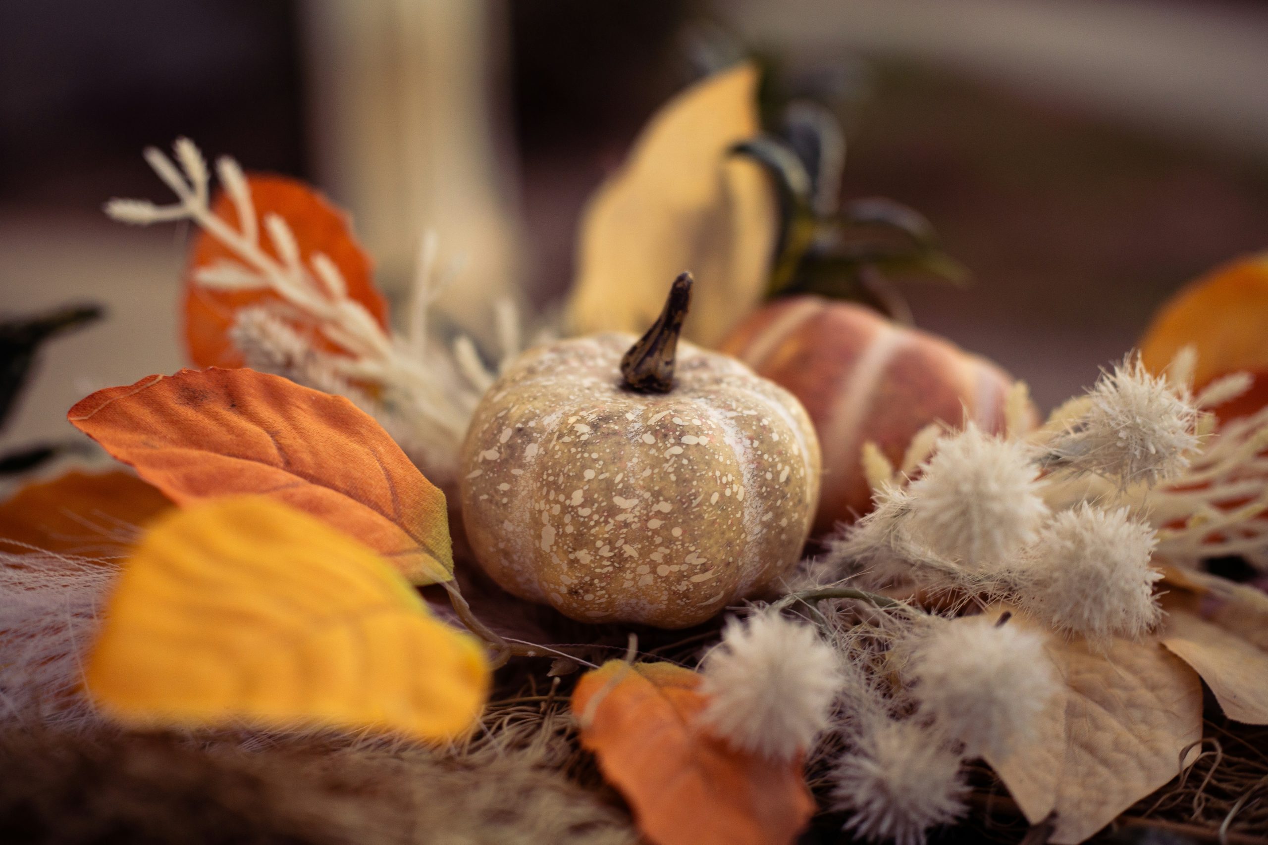 Small pumpkin surrounded by autumn leaves and decorative elements