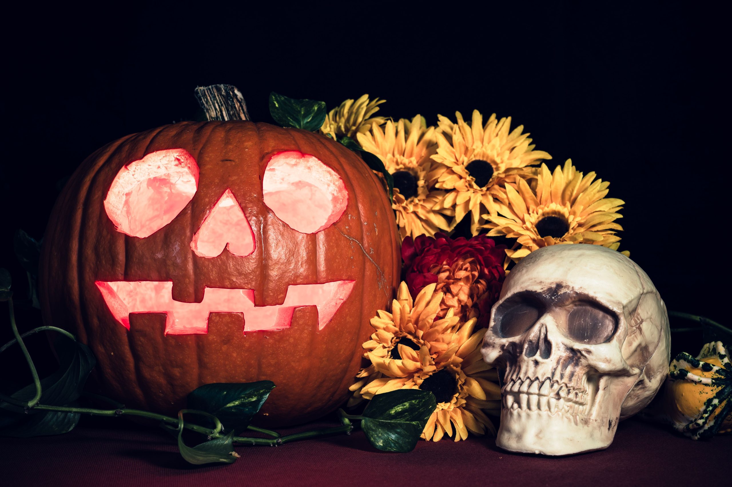 Spooky Halloween scene with a carved pumpkin, skull, and bright flowers in dramatic lighting.
