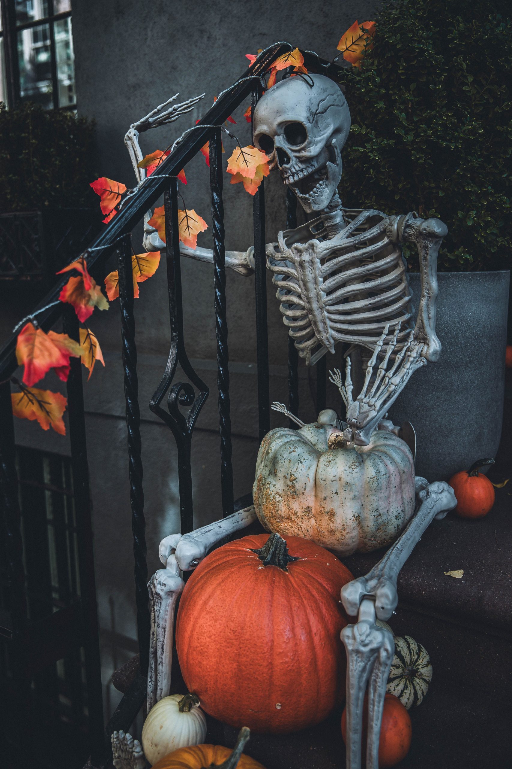 Spooky Halloween skeleton with pumpkins and autumn leaves on steps in New York City.
