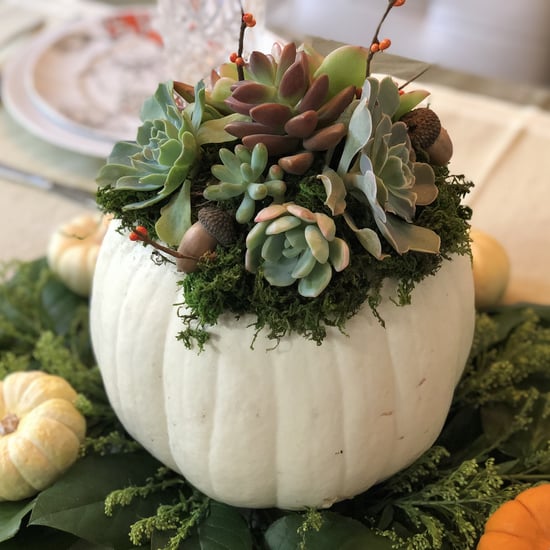 Succulent-Pumpkins.jpg