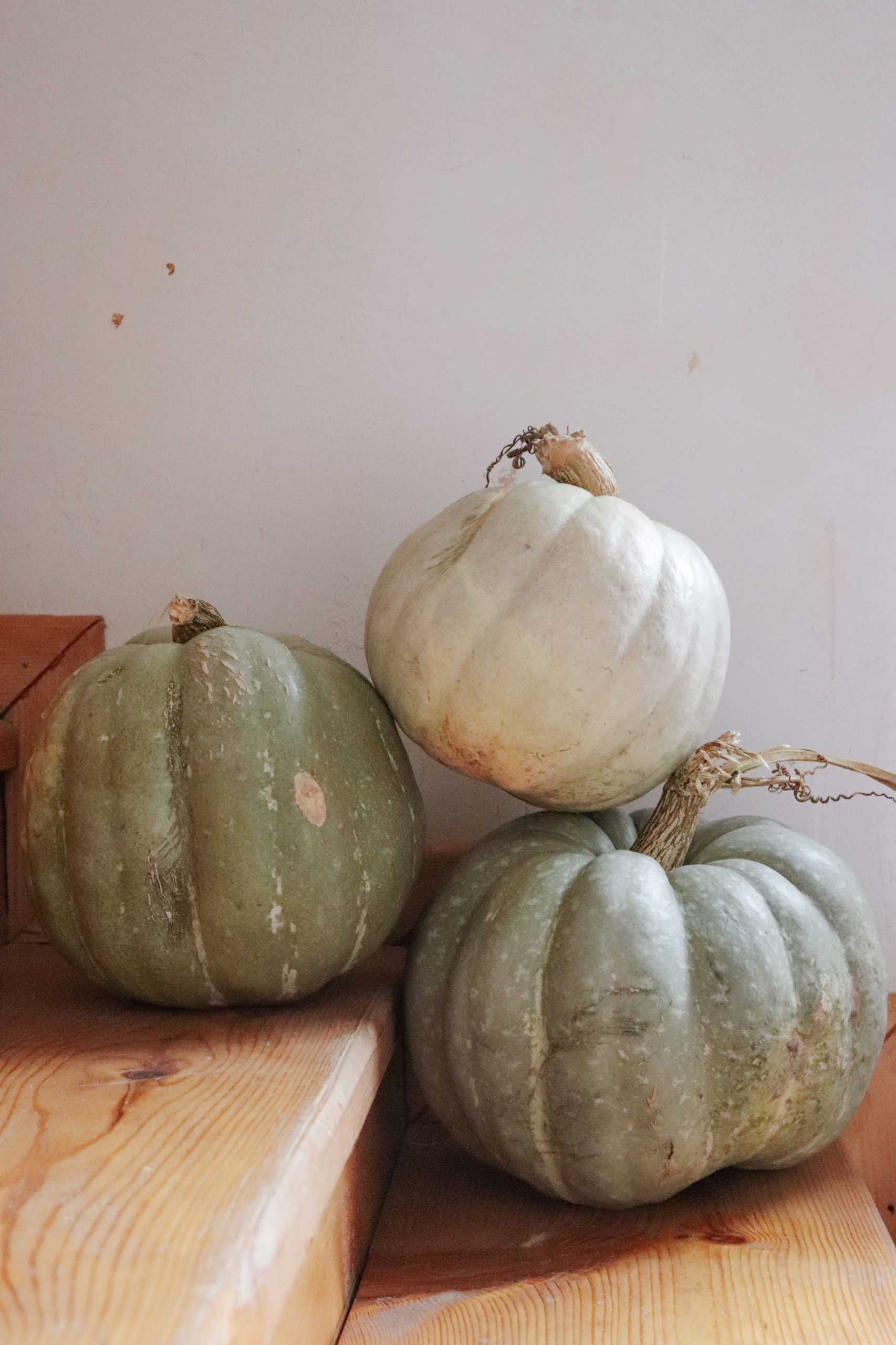 Three decorative pumpkins on wooden steps with soft natural light, perfect for autumn decor inspiration.