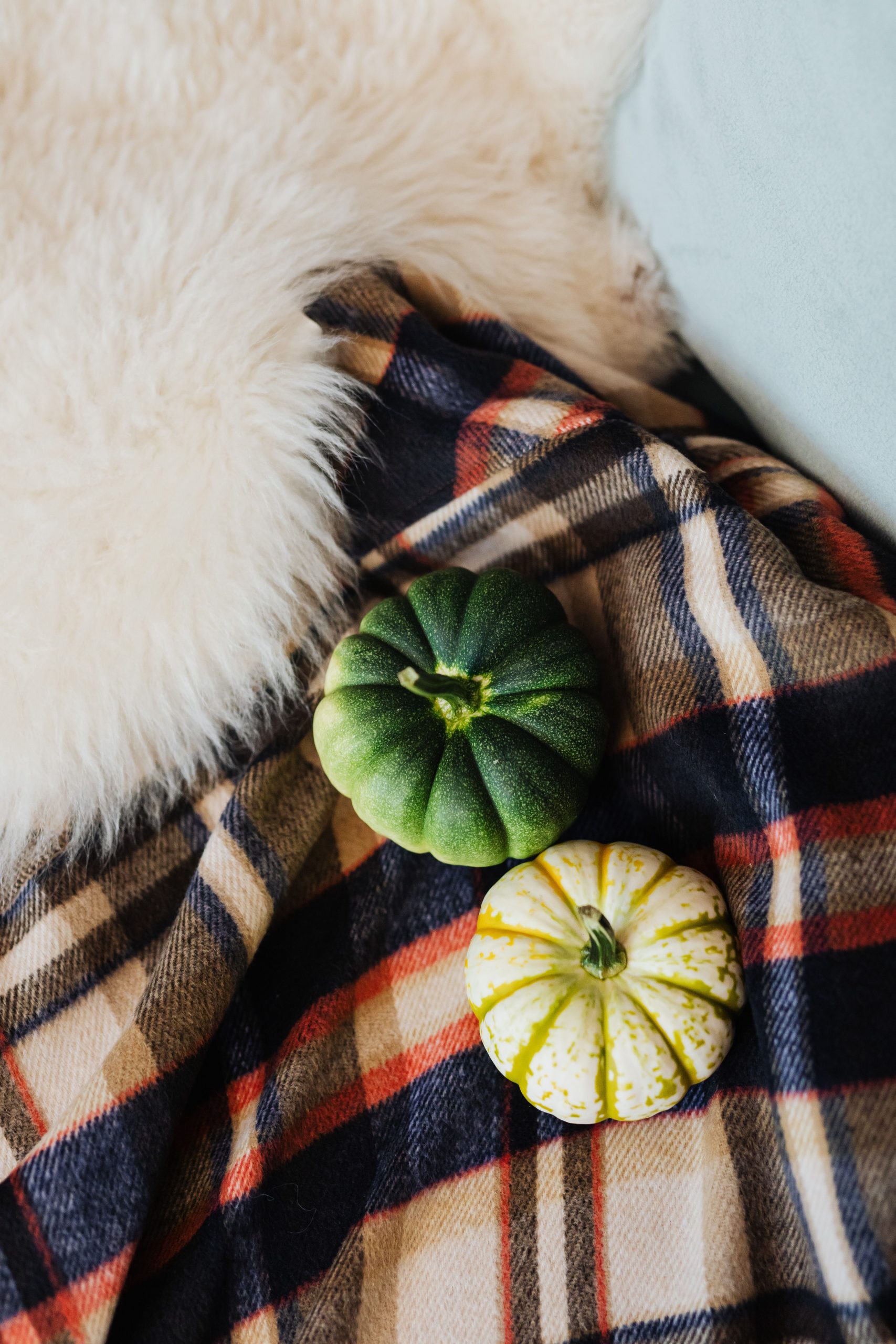 Top view of pumpkins on a plaid blanket, evoking a cozy fall feel.