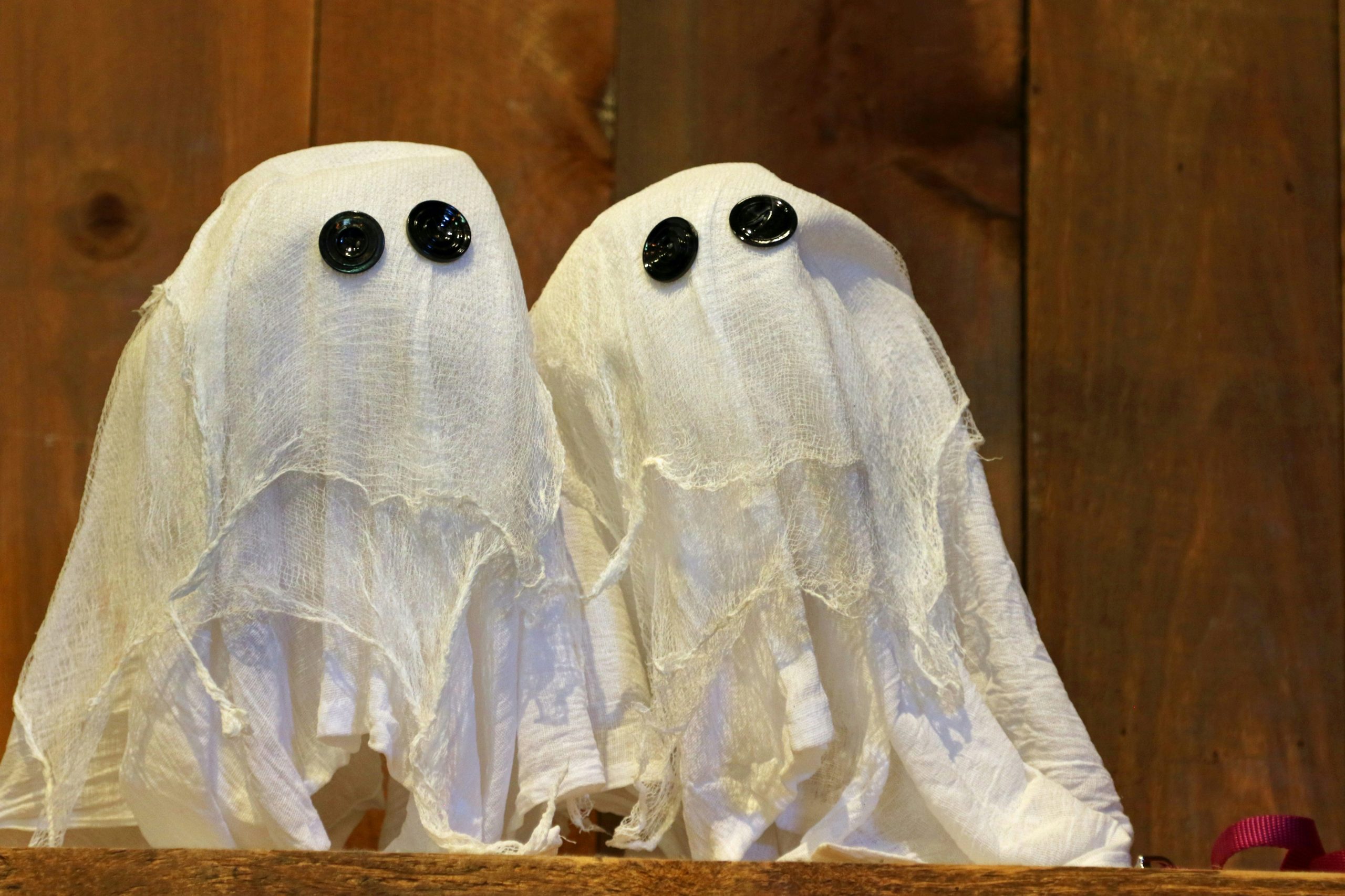Two fabric ghosts with button eyes on a shelf