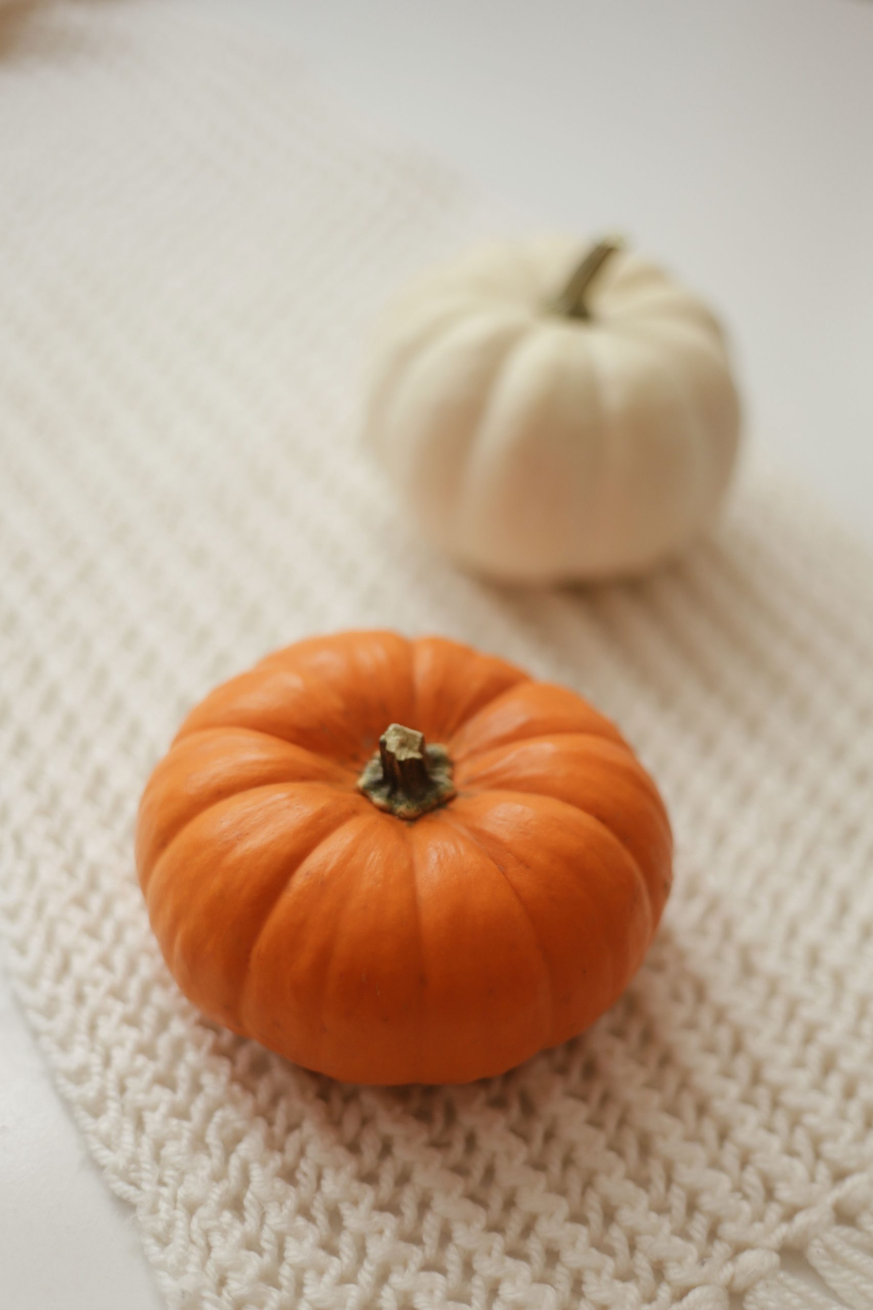 Two pumpkins, orange and white, on a textured knit fabric, soft focus.