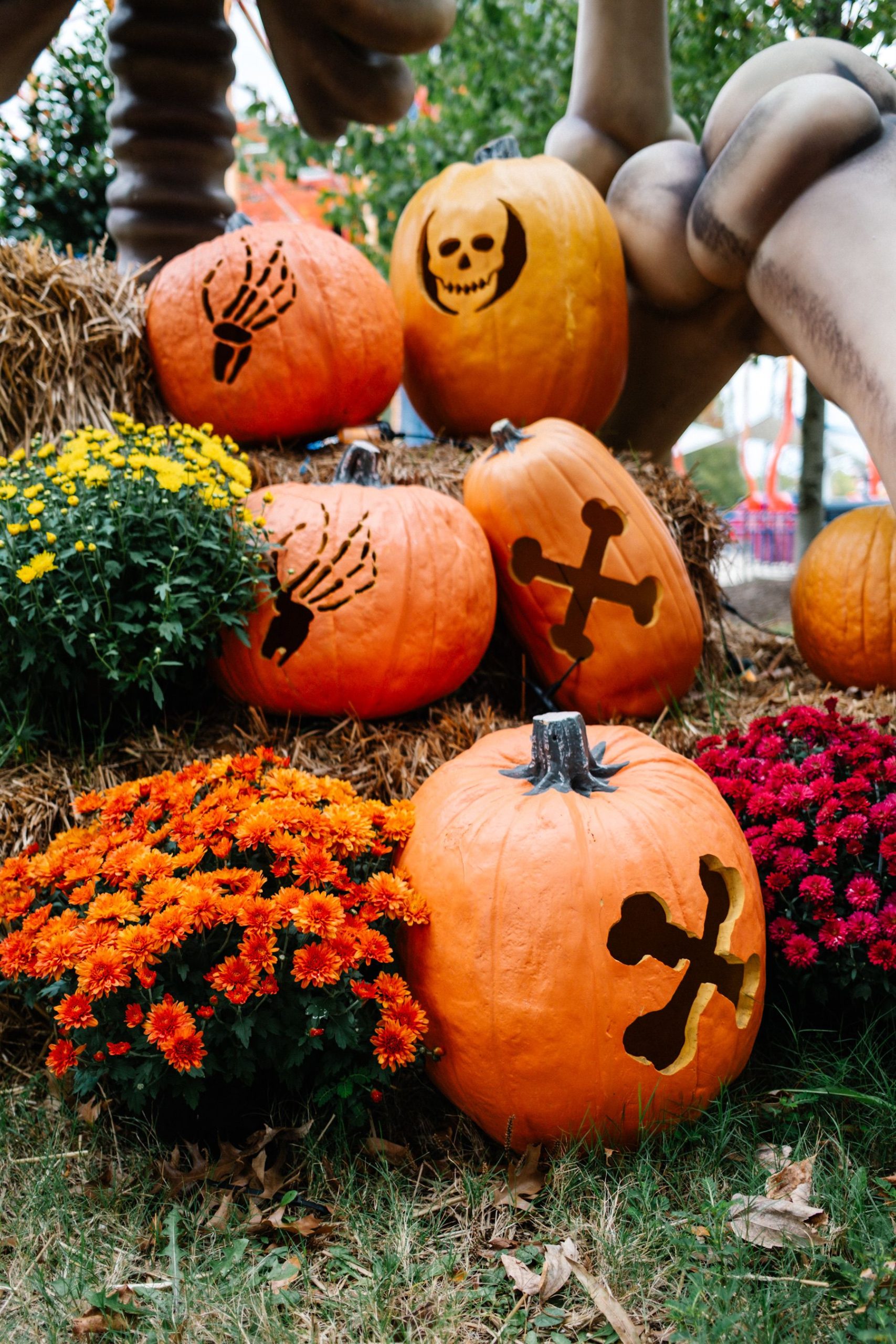 Vibrant carved pumpkins with autumn flowers in a North Carolina park during fall.