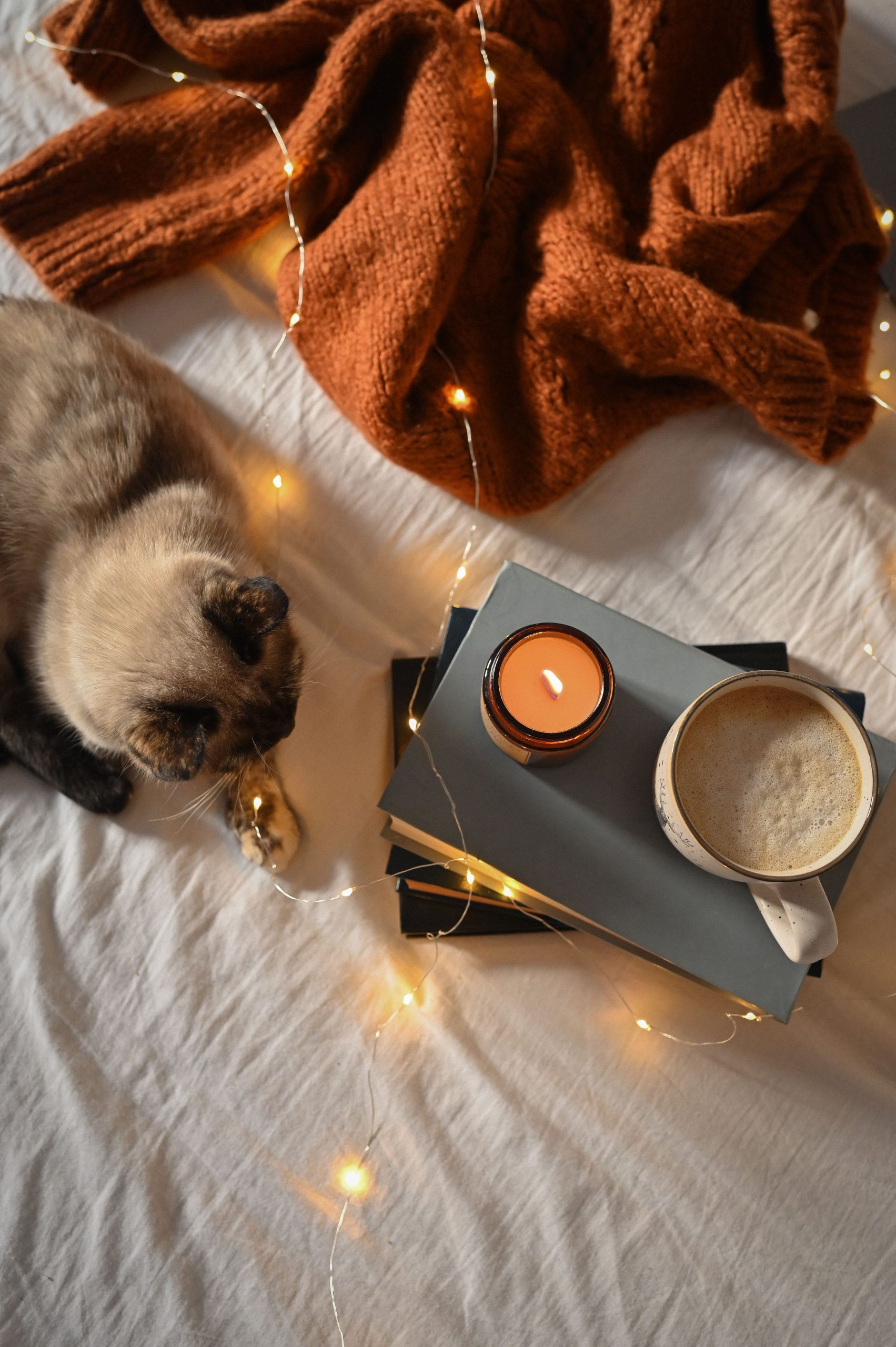 Warm autumn setting with a cat, candle, and book accompanied by soft string lights and a hot beverage.