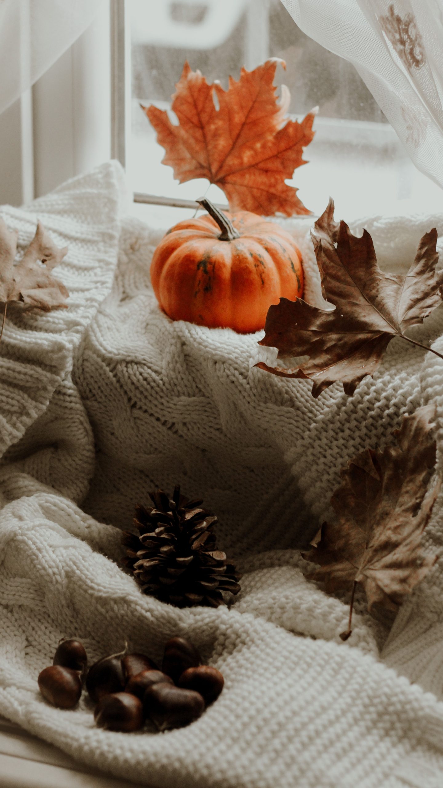Warm fall arrangement of a pumpkin, pine cone, and leaves on a knitted blanket by the window.