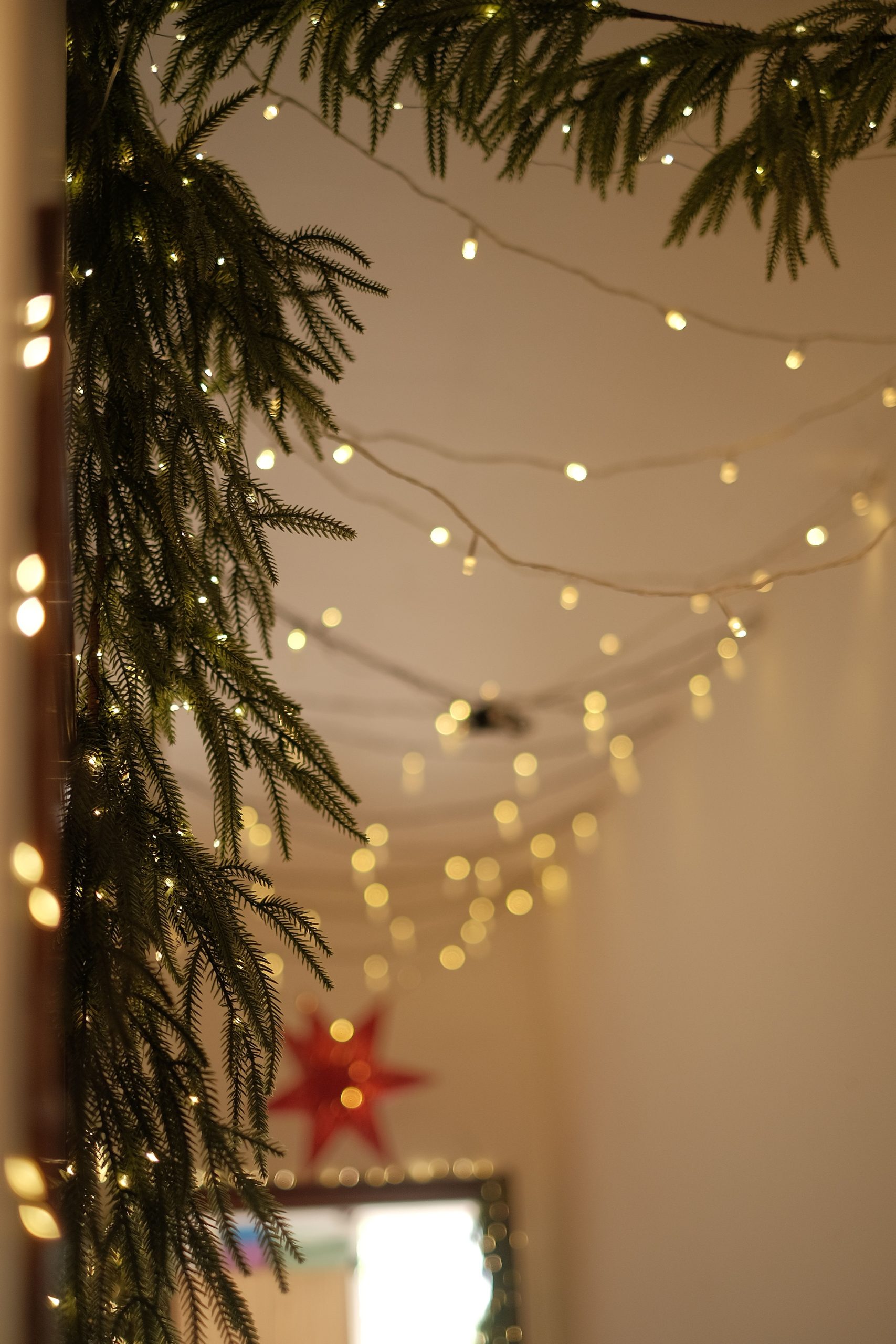 Warm indoor scene with Christmas string lights and pine garland.