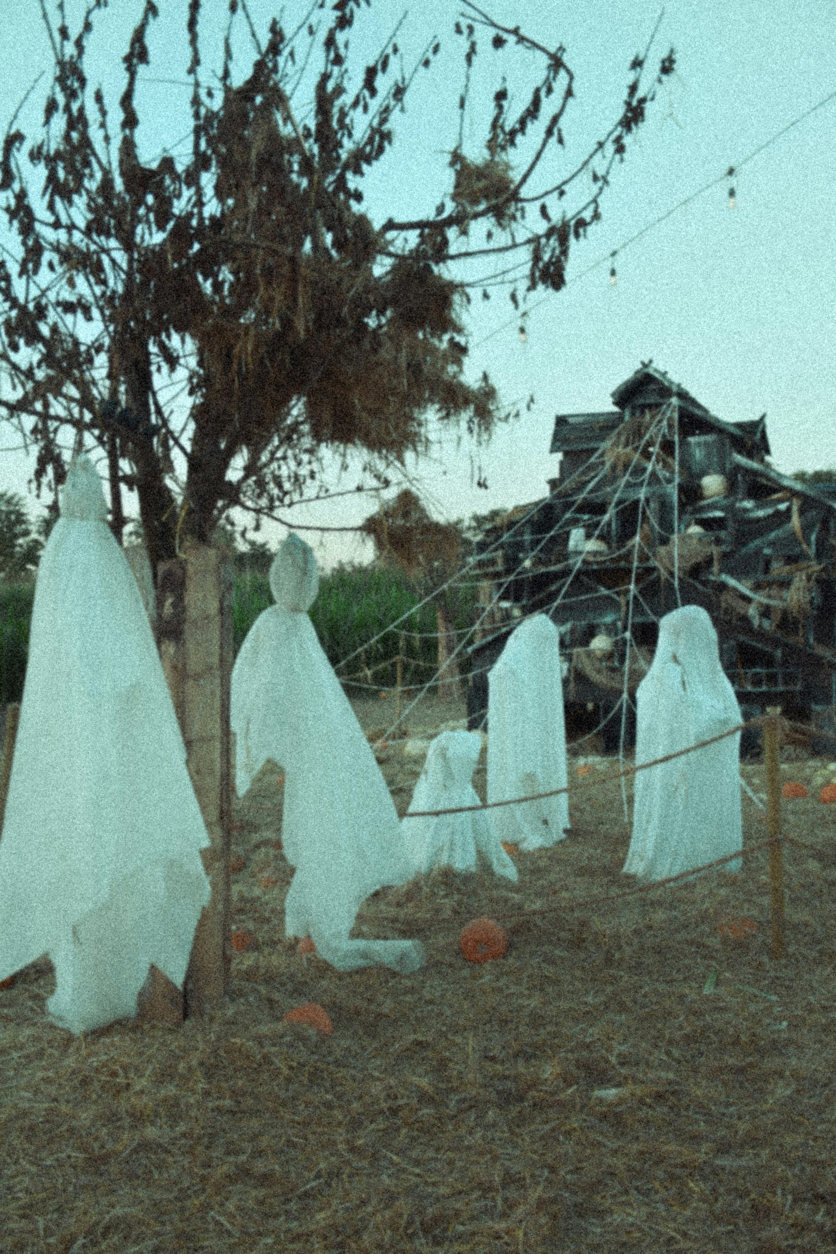 White ghosts and pumpkins in a spooky yard