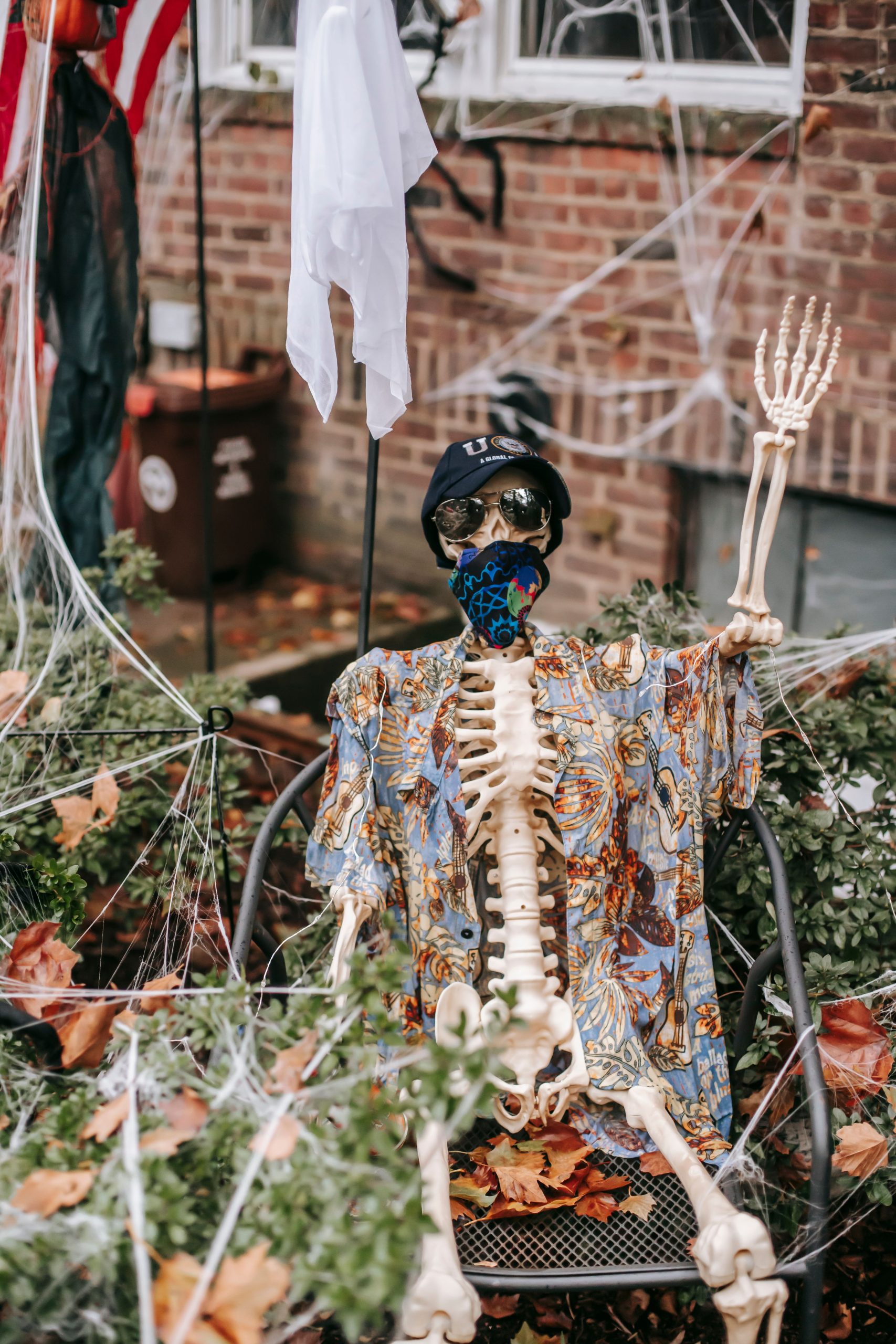 Yard decorated with skeleton in casual outfit and web on bushes and house in autumn day in Halloween